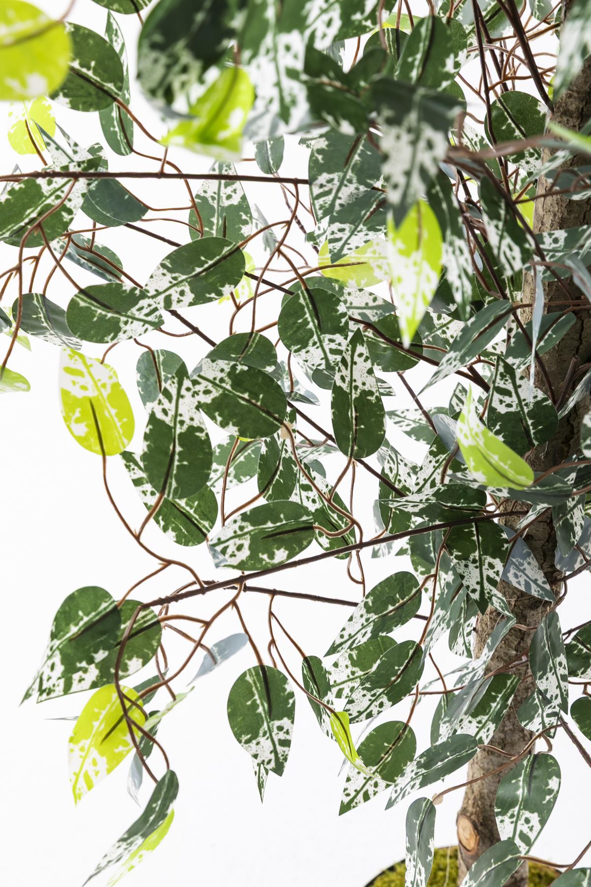 Yapay Benjamin Ağacı 180 Cm 108 Dal Yeşil Beyaz