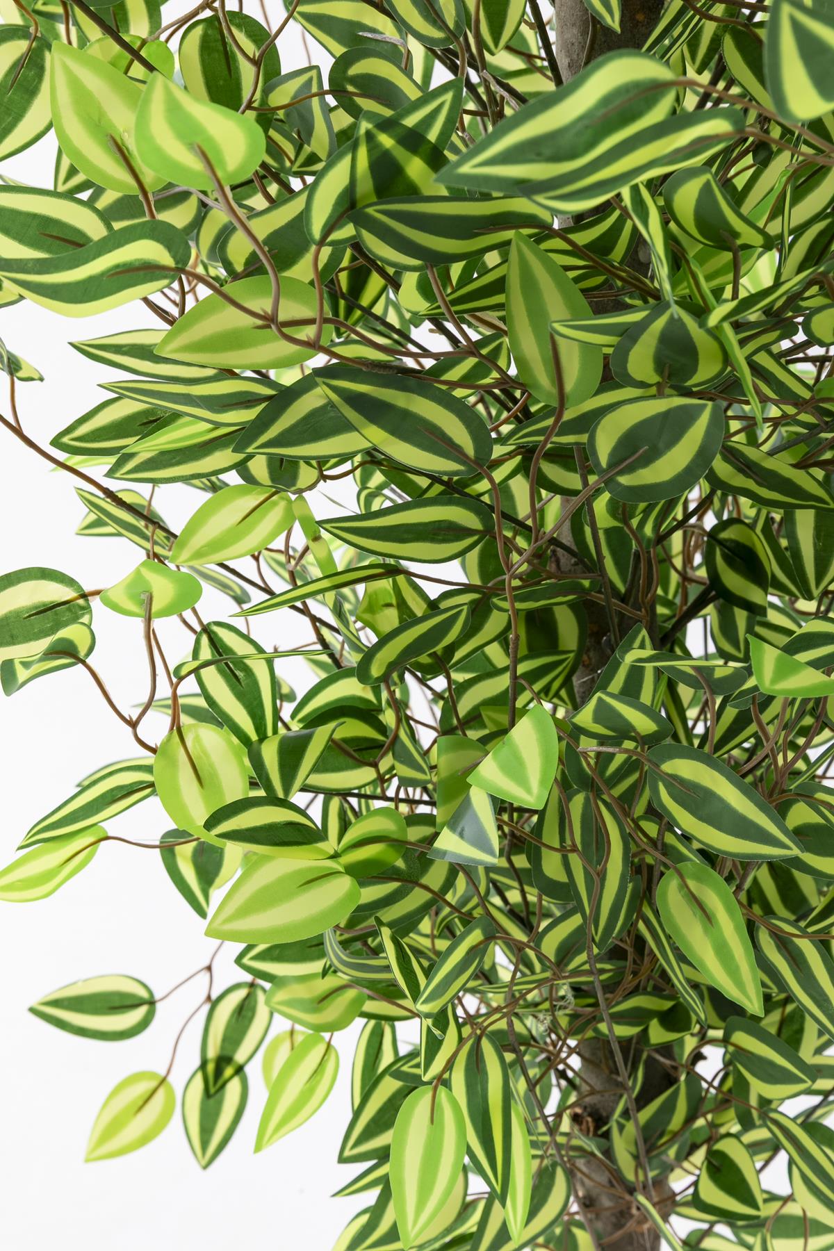 Yapay Benjamin Ağacı 180 Cm 108 Dal Yeşil Sarı