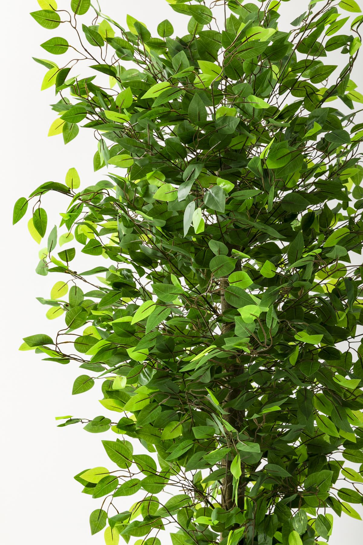 Yapay Benjamin Ağacı 180 Cm Krem Gold Metal Saksı