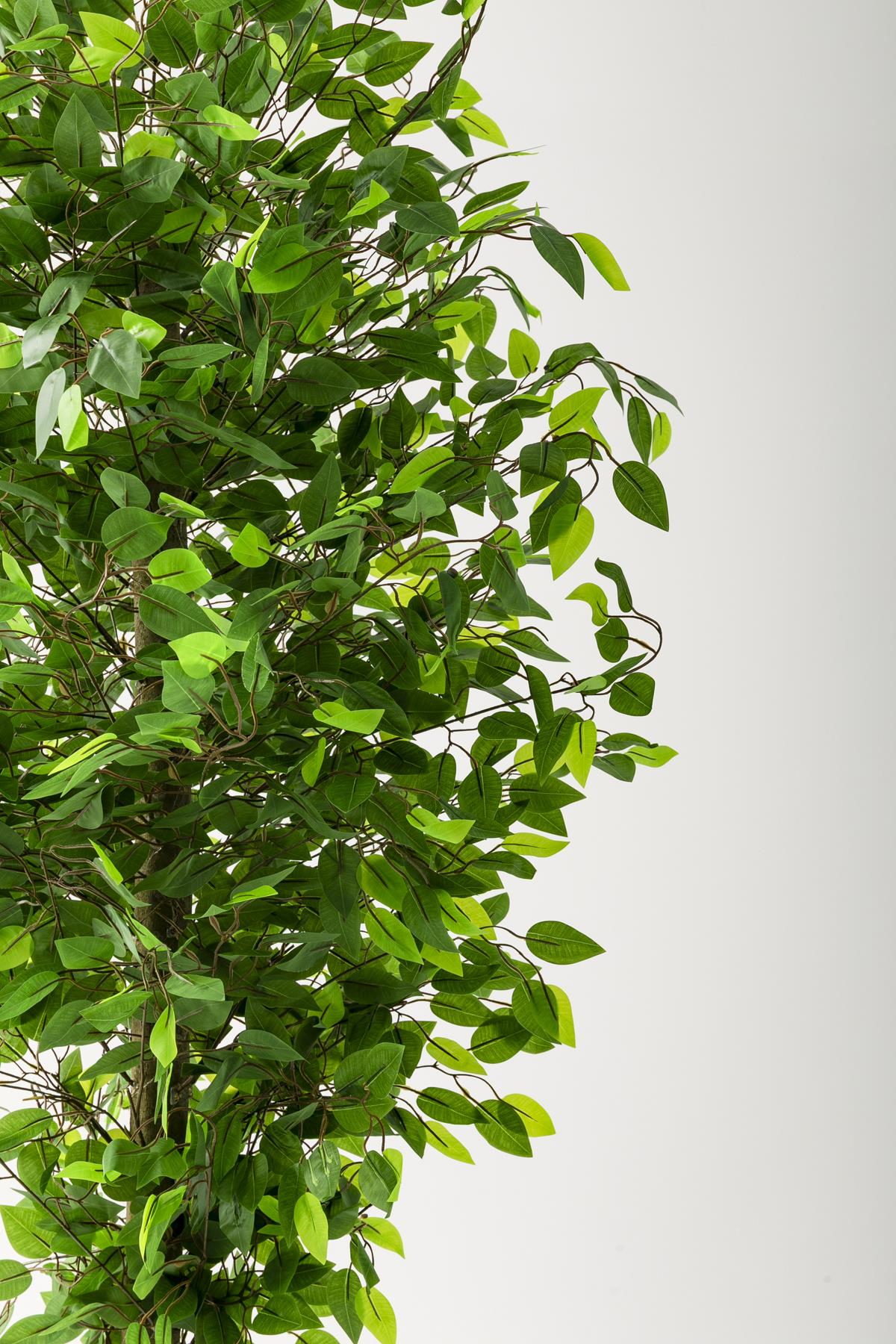 Yapay Benjamin Ağacı 180 Cm Krem Gold Metal Saksı