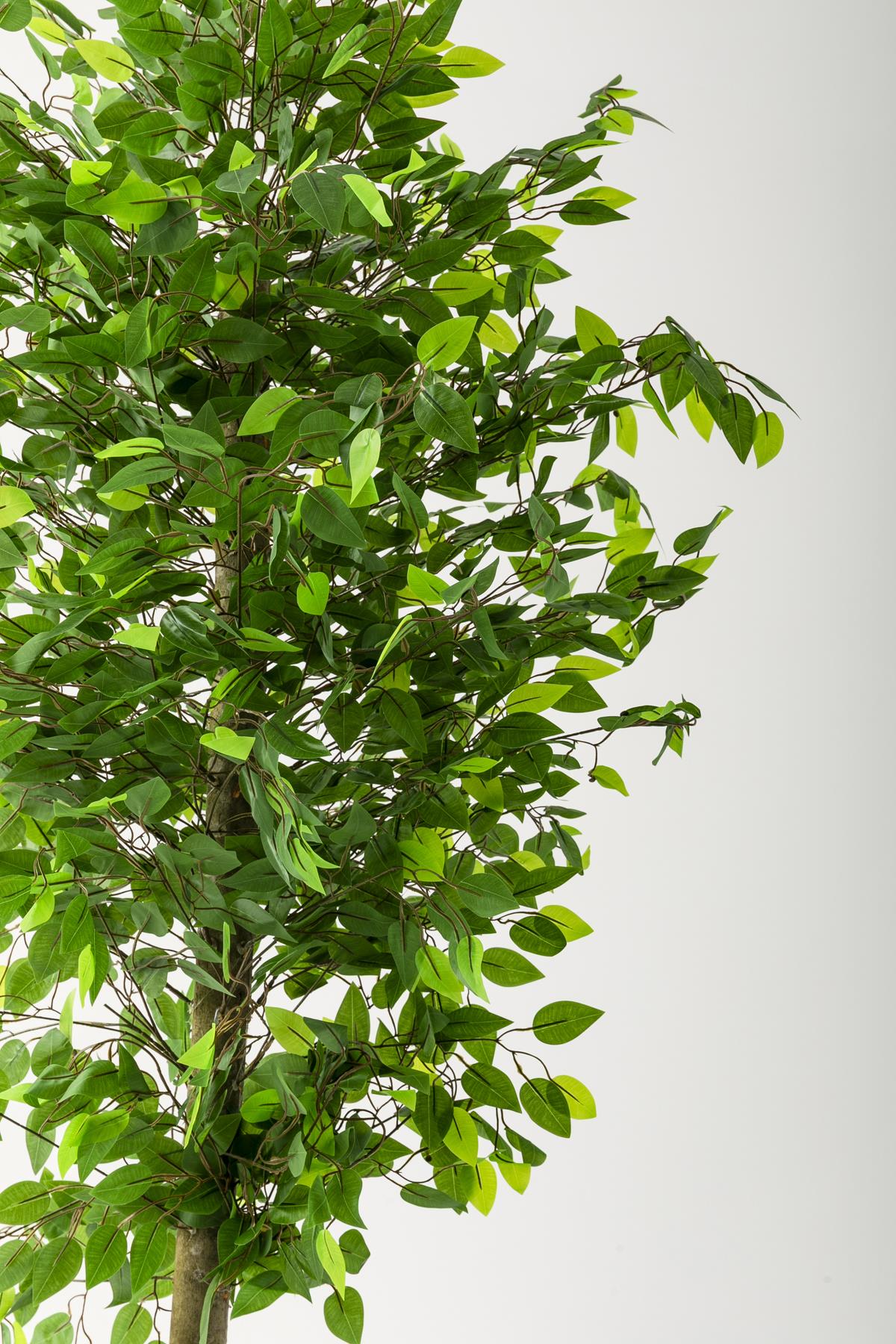 Yapay Benjamin Ağacı 200 Cm Beyaz Gold Metal Saksı