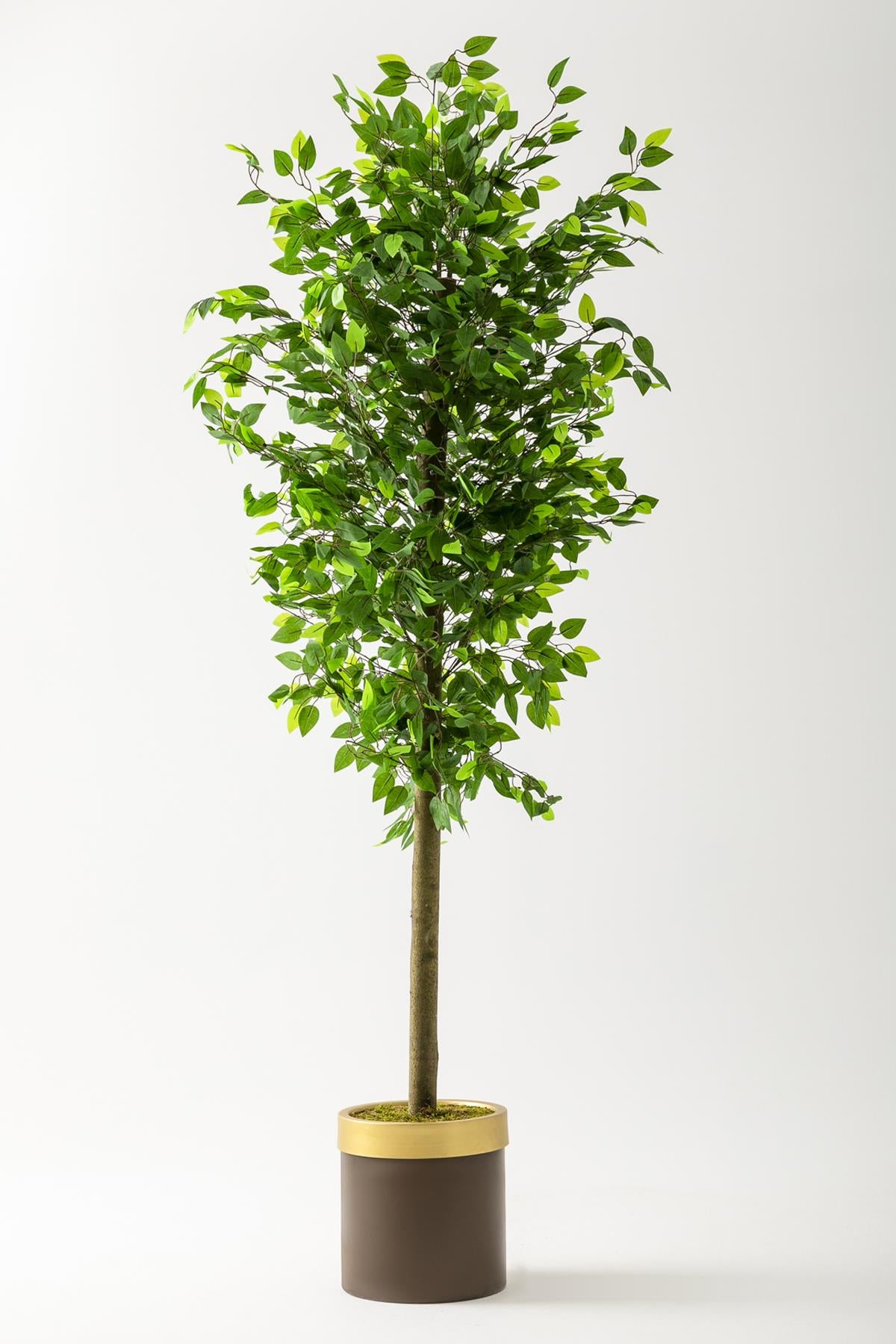 Yapay Benjamin Ağacı 200 Cm Kahverengi Metal Gold Metal Saksı