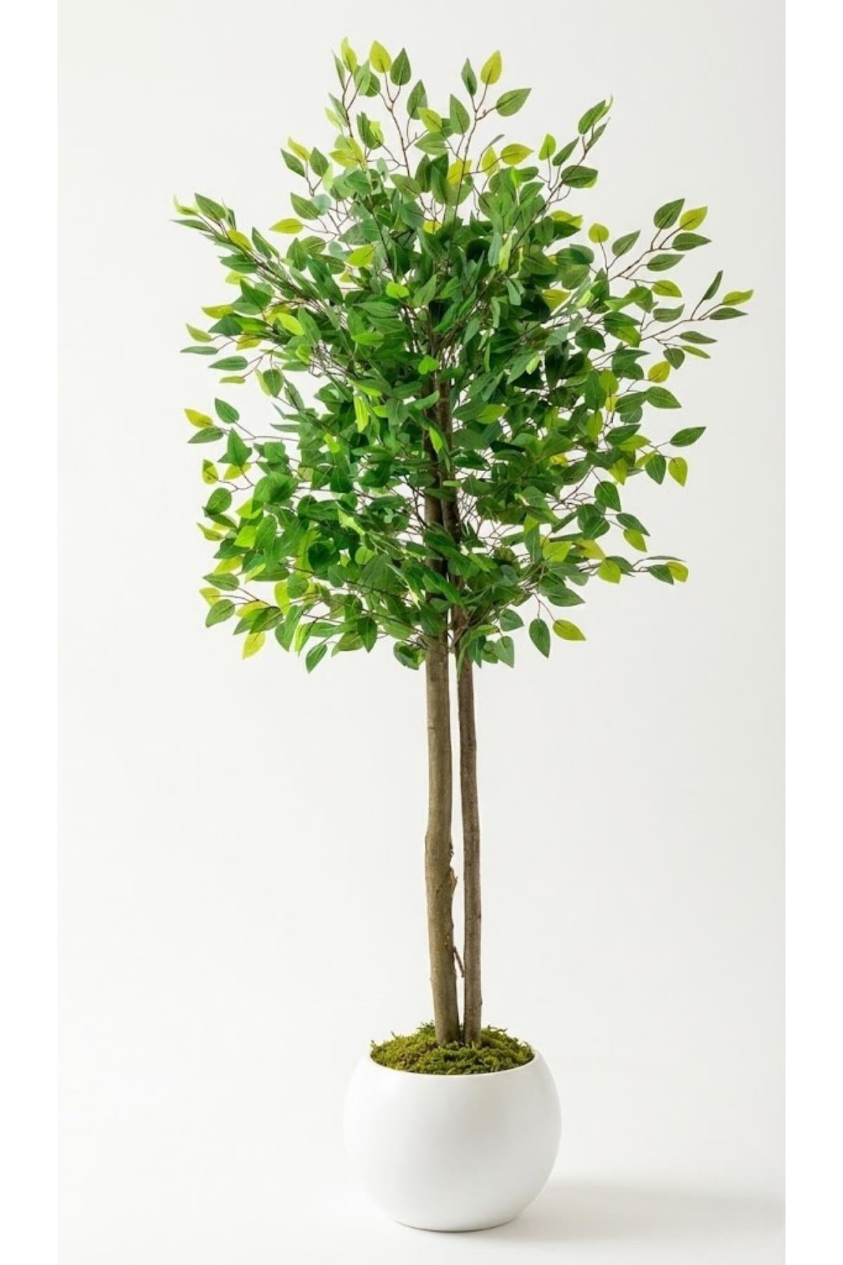 Yapay Benjamin Ağacı