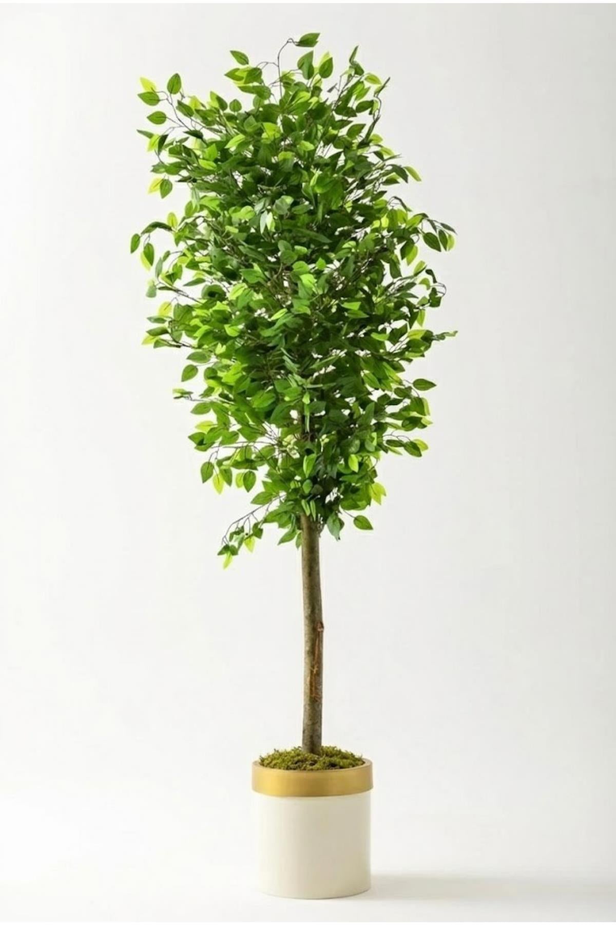 Yapay Benjamin Ağacı