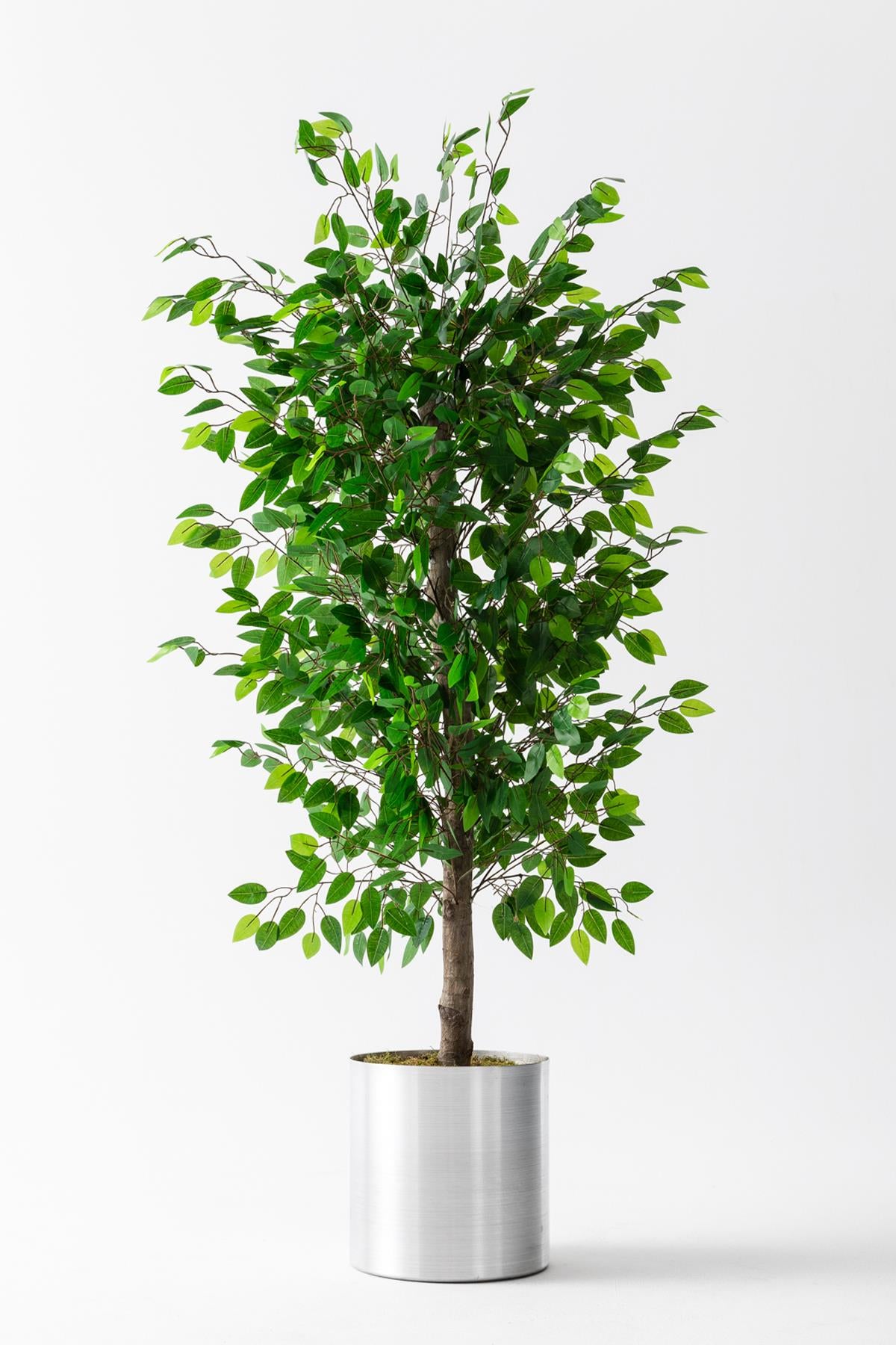 Yapay Benjamin Ağacı