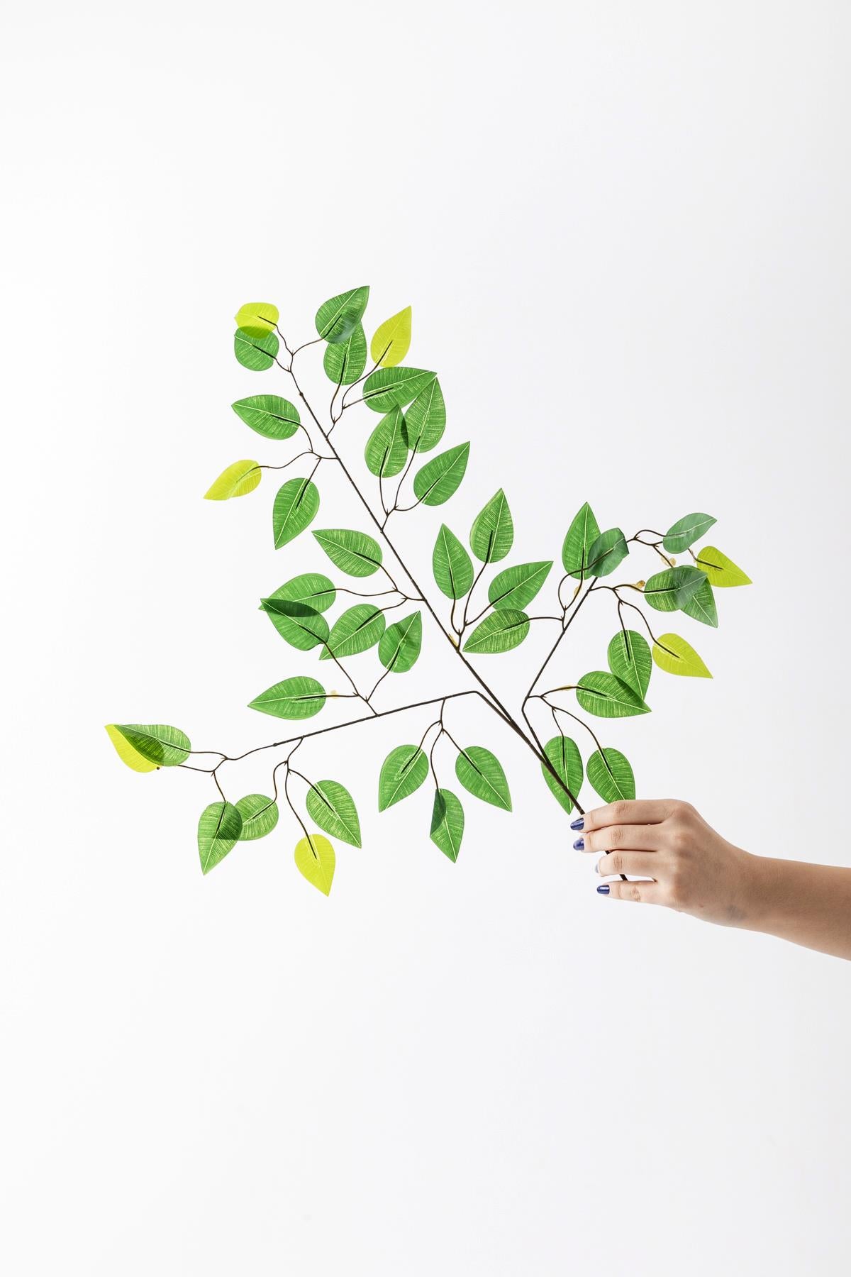 Yapay Benjamin Yaprağı Demet 12'li