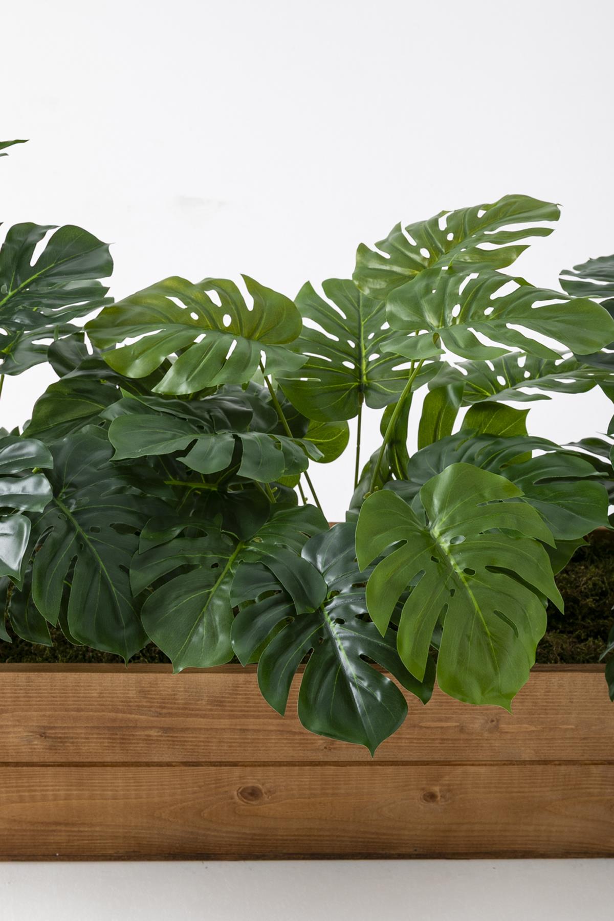 Yapay Bodur Çiçeklik Devetabanı 65 Cm