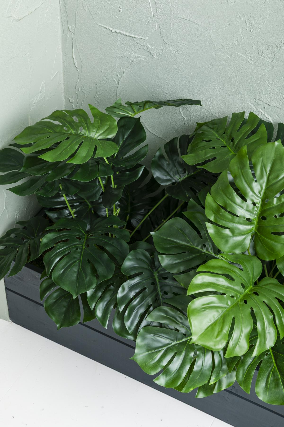 Yapay Bodur Çiçeklik Devetabanı 65 Cm Antrasit Saksı