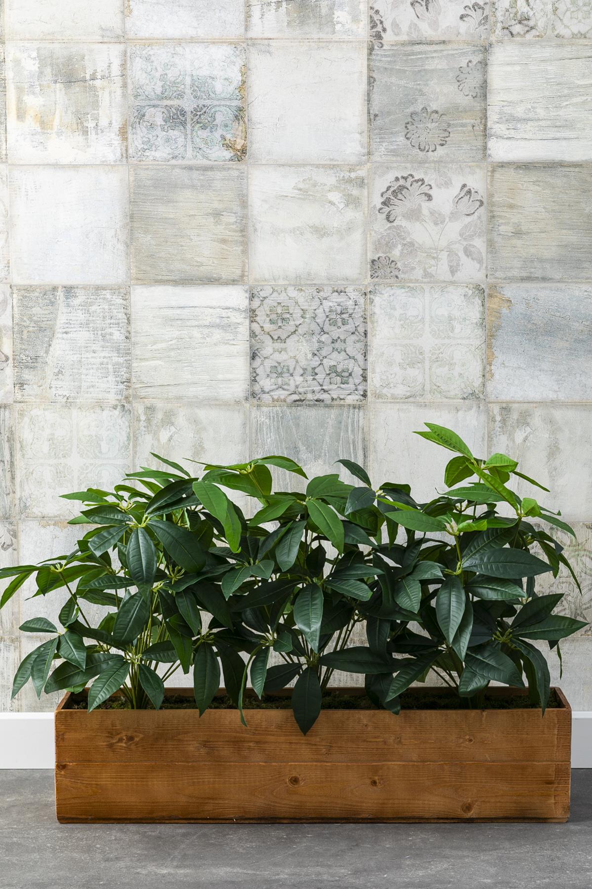 Yapay Bodur Çiçeklik Para Ağacı 80 Cm