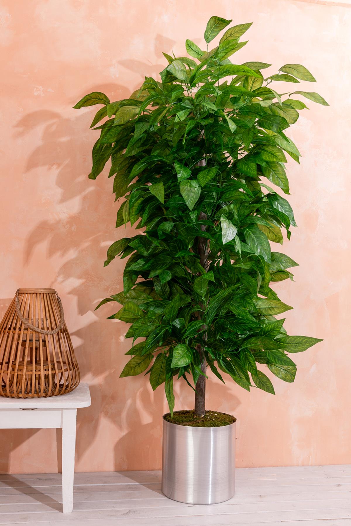 Yapay Ceviz Ağacı 200 Cm