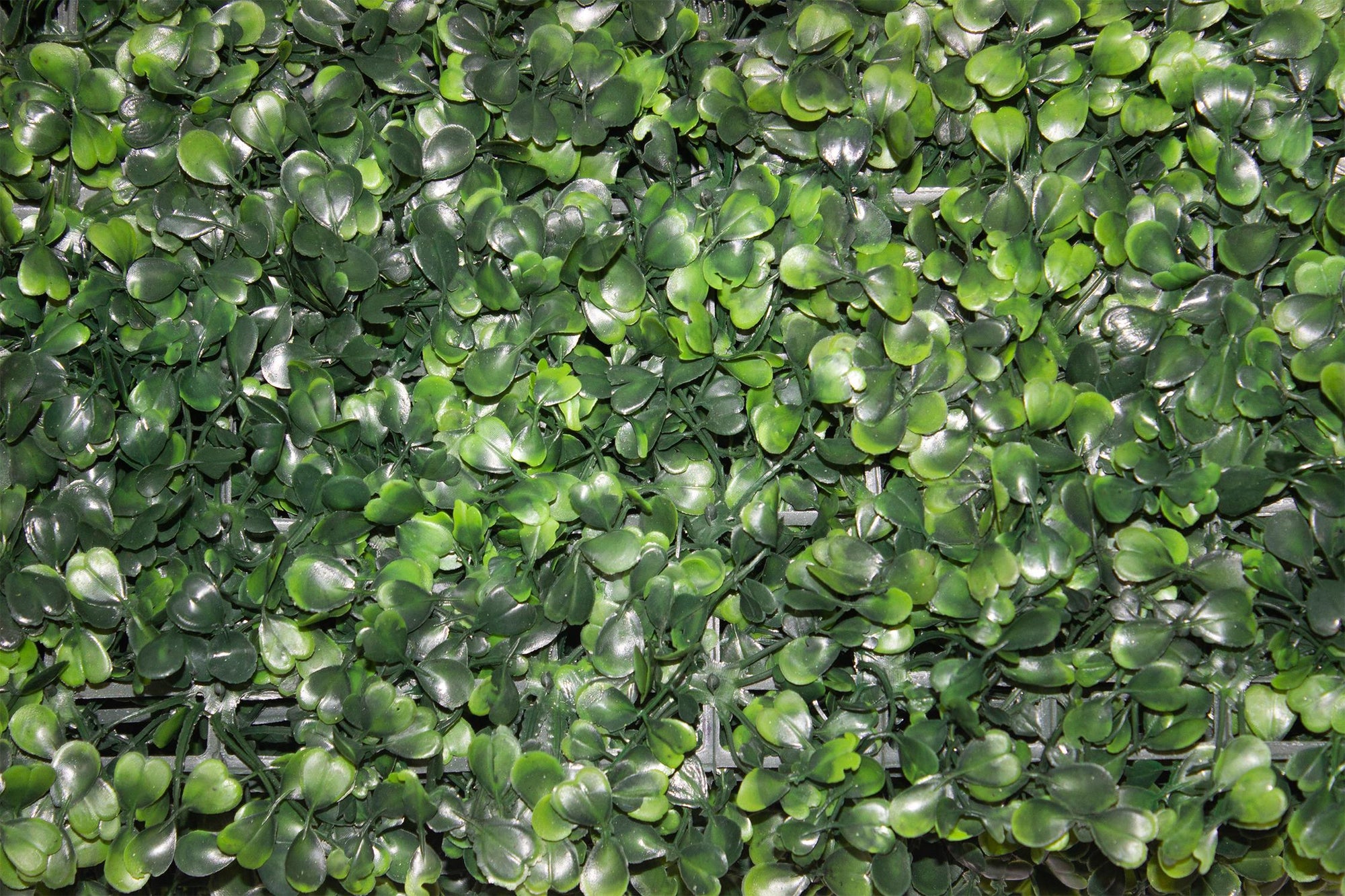 Yapay Çiçek Duvar Kaplama Panel Şimşir Tabaka 40x60 Cm Yeşil Dikey Bahçe 10 Adet