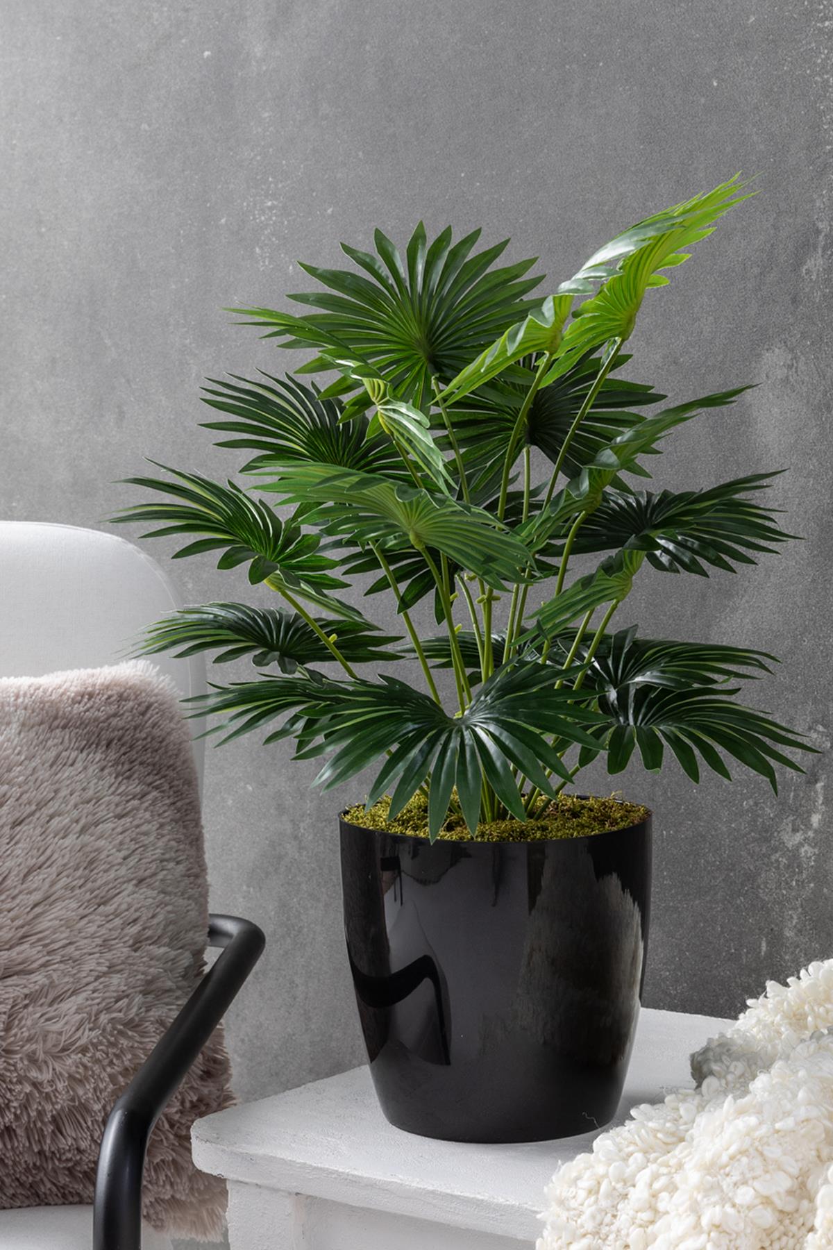 Yapay Çiçek Yelpaze Palmiye 8 Dal 50*35cm Salon Çiçeği Plastik Siyah Saksılı Yapay Bitki