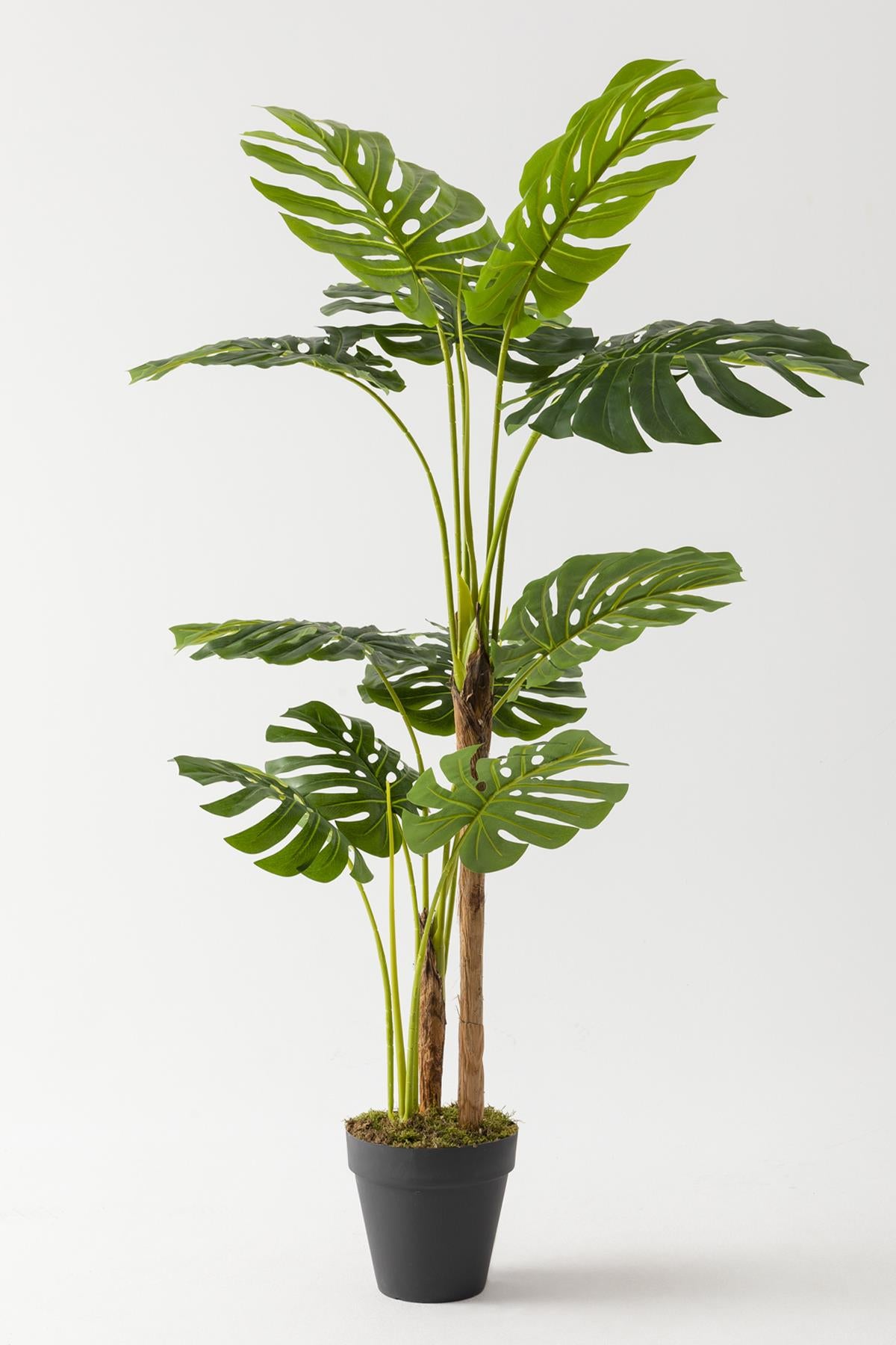 Yapay Deve Tabanı Ağacı (Monstera) 170 Cm