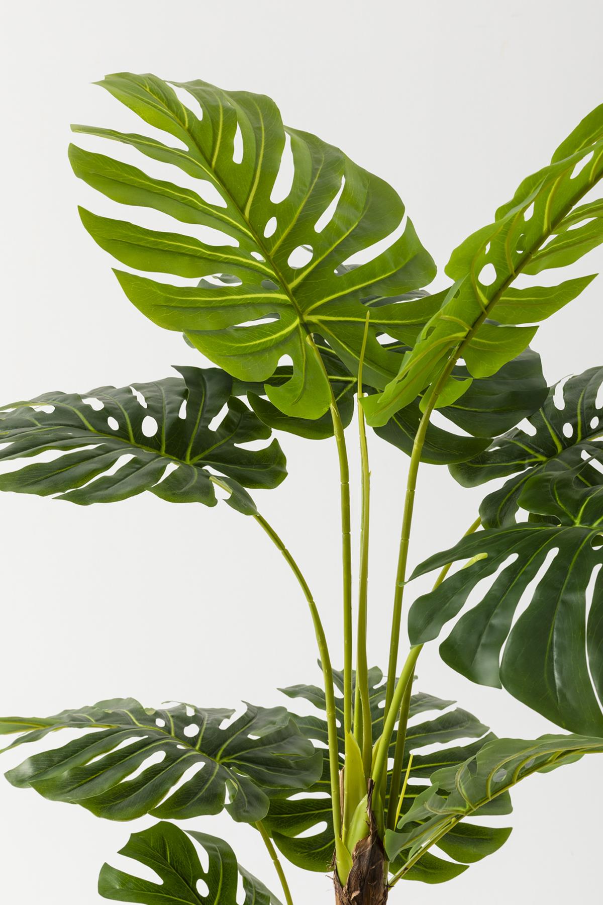 Yapay Deve Tabanı Ağacı (Monstera) 170 Cm