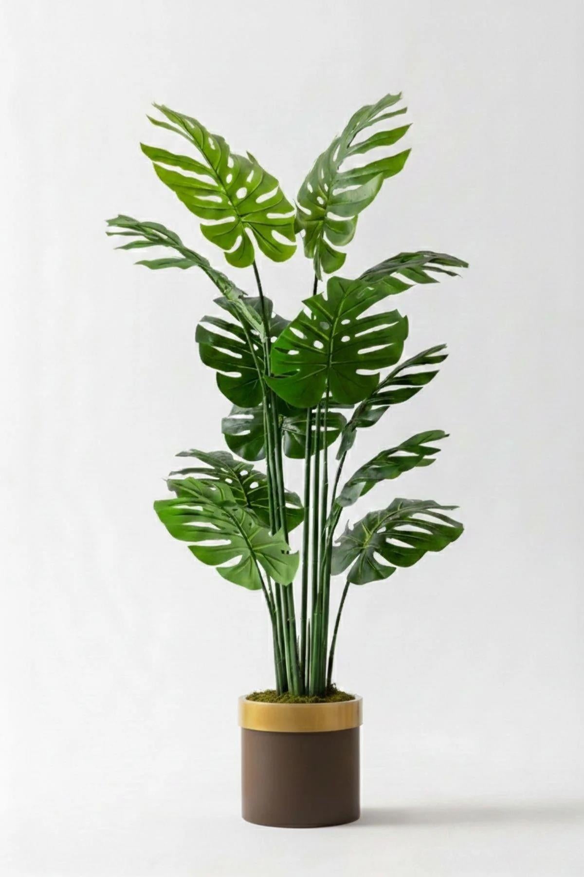 Yapay Deve Tabanı(Monstera) Ağacı