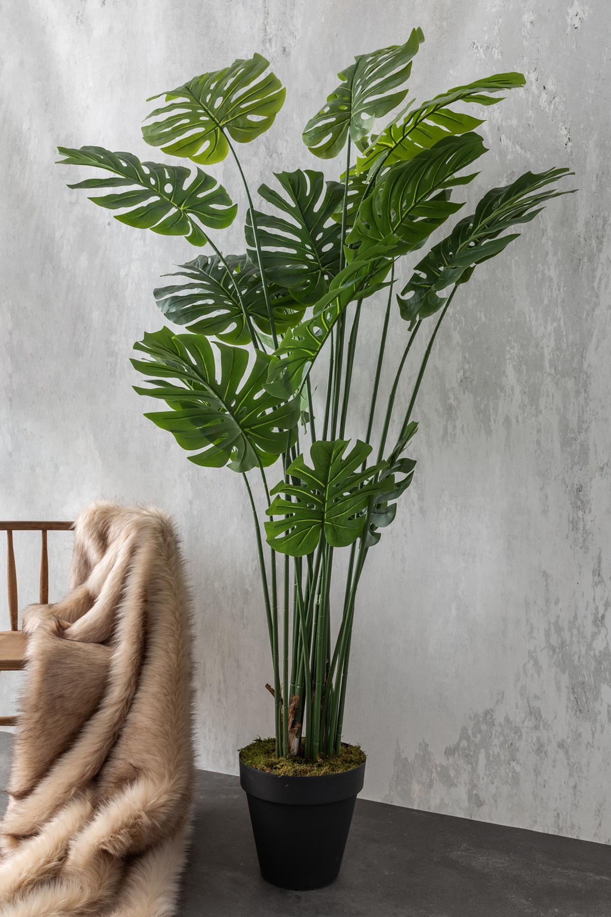 Yapay DeveTabanı(Monstera) Ağacı 200 Cm