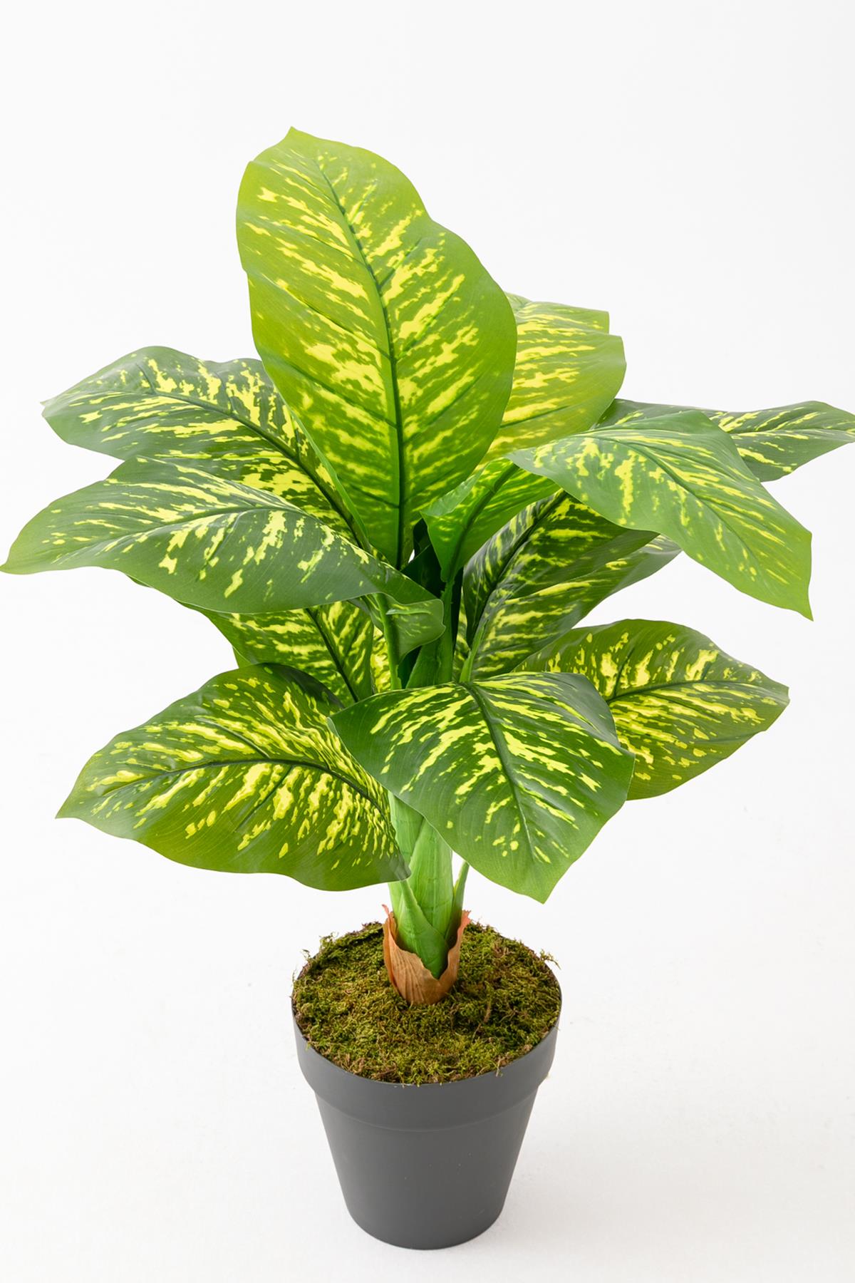 Yapay Difenbahya Ağacı 100 Cm 12 Dal