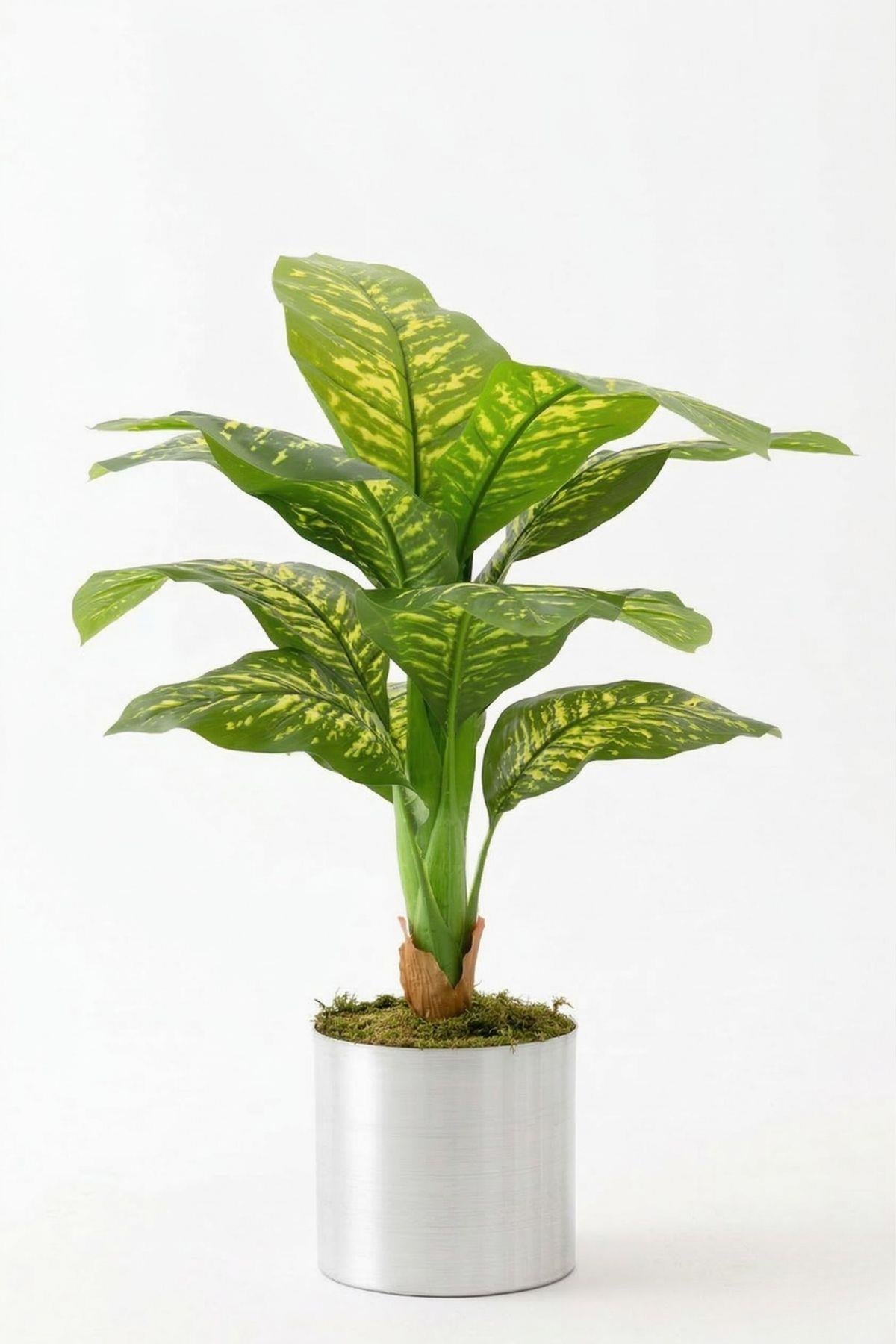 Yapay Difenbahya Ağacı 100 Cm 12 Dal Gümüş #renk_gumus