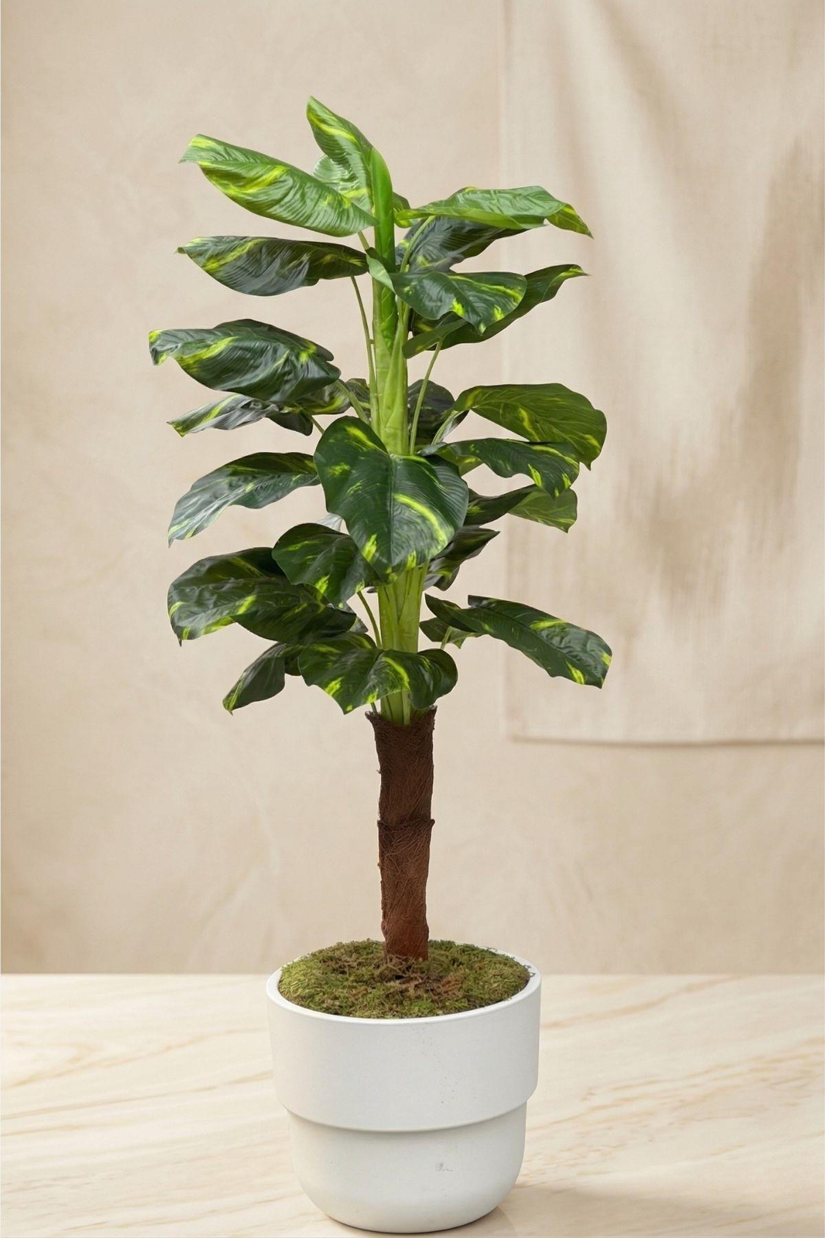 Yapay Difenbahya Ağacı 150 cm 23 Yaprak