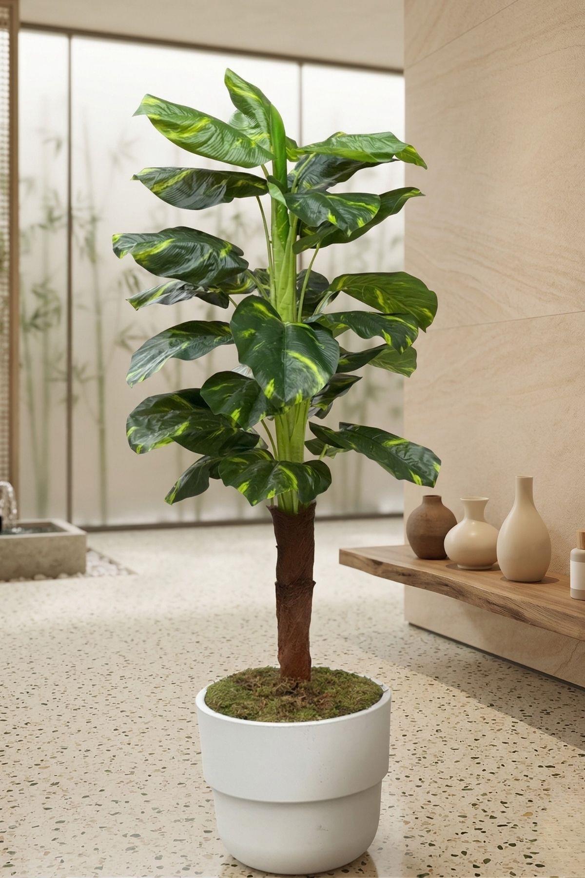 Yapay Difenbahya Ağacı 150 cm 23 Yaprak