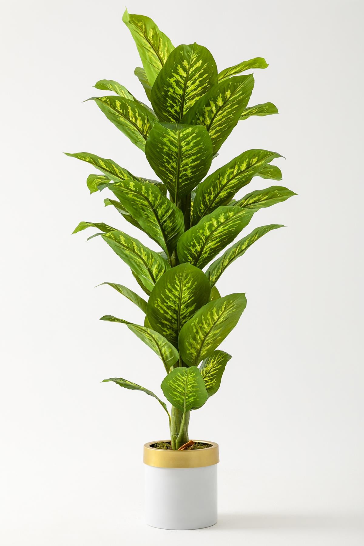 Yapay Difenbahya Ağacı 160 Cm Beyaz #renk_beyaz
