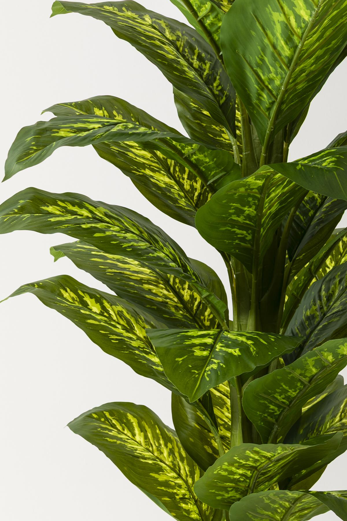 Yapay Difenbahya Ağacı 180 Cm Gold Balon Saksı