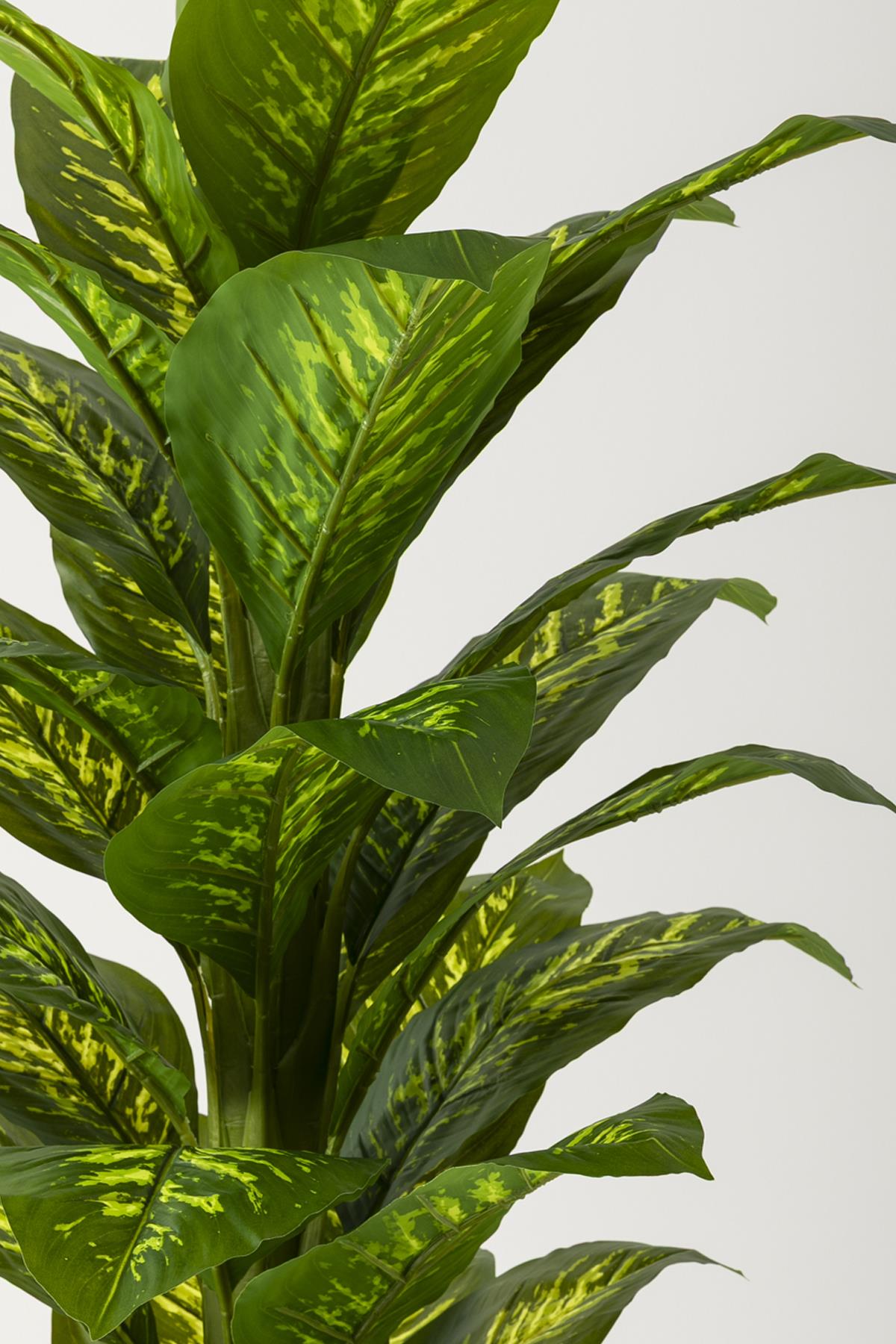 Yapay Difenbahya Ağacı 180 Cm Balon Saksı