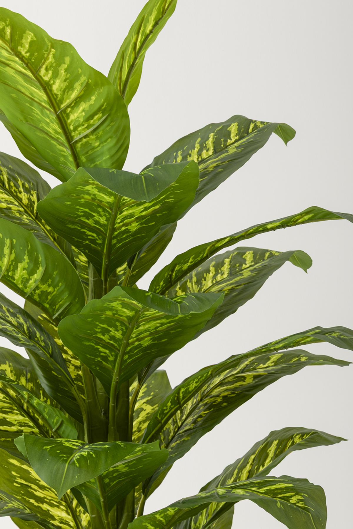 Yapay Difenbahya Ağacı 180 Cm Balon Saksı