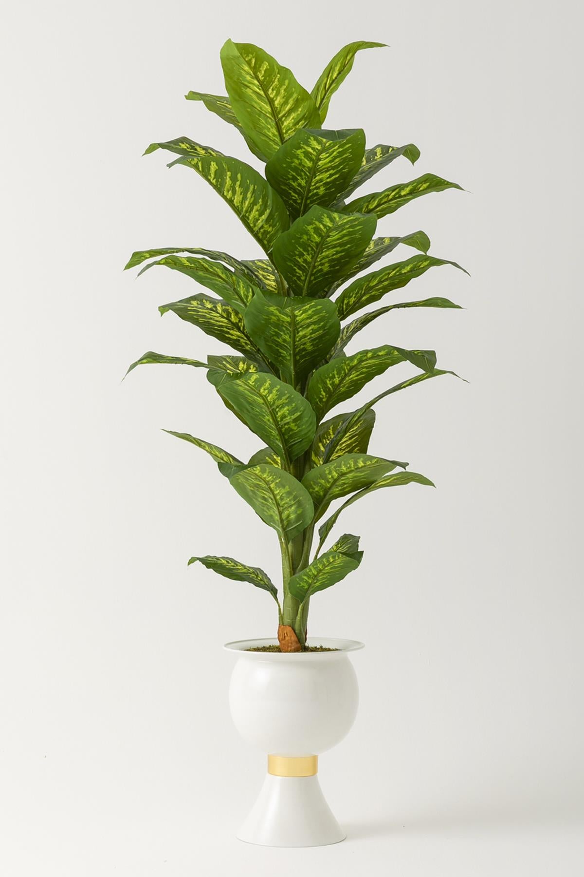 Yapay Difenbahya Ağacı 180 Cm Balon Saksı