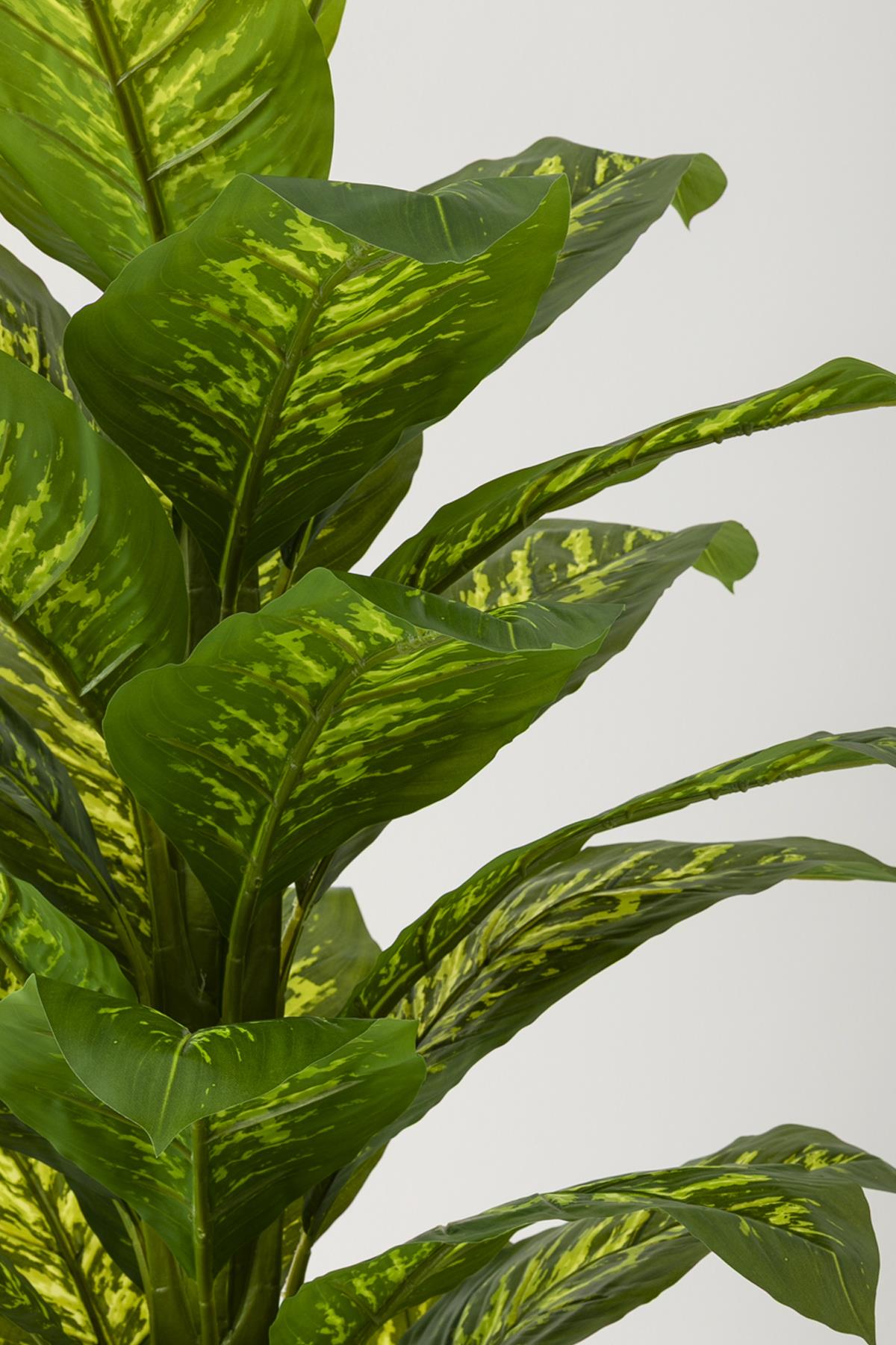 Yapay Difenbahya Ağacı 180 Cm Balon Saksı