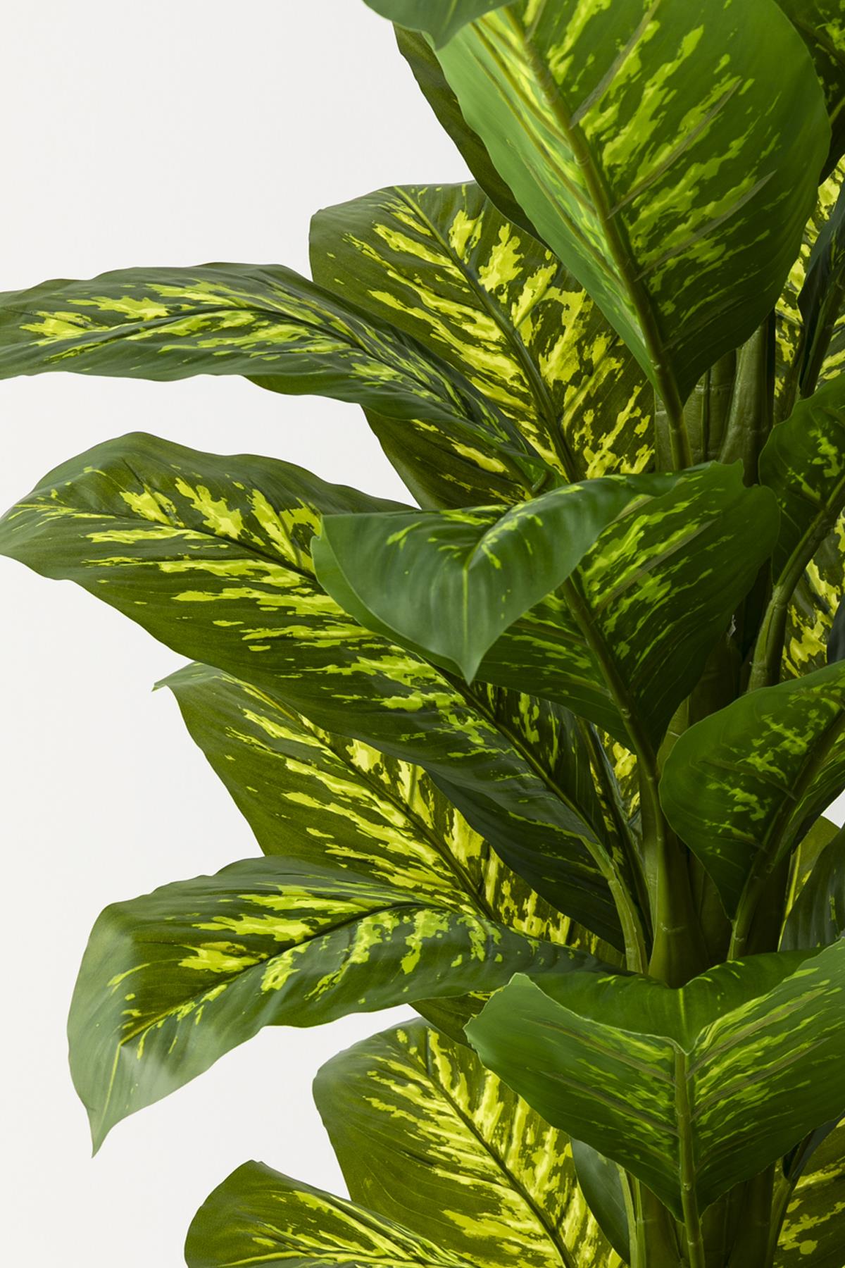 Yapay Difenbahya Ağacı 180 Cm Siyah Balon Saksı