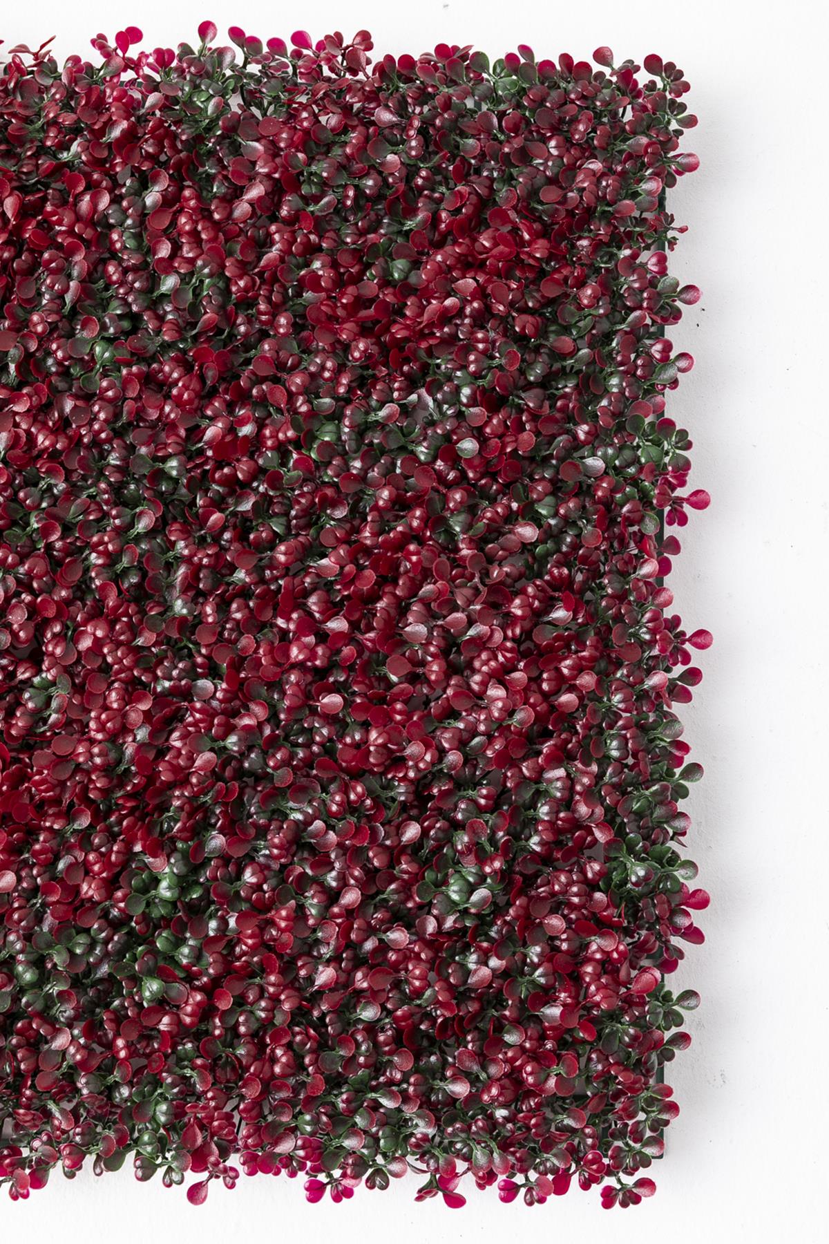 Yapay Duvar Paneli (Uv) Korumalı Kırmızı Şimşir 50*50 (Uv)