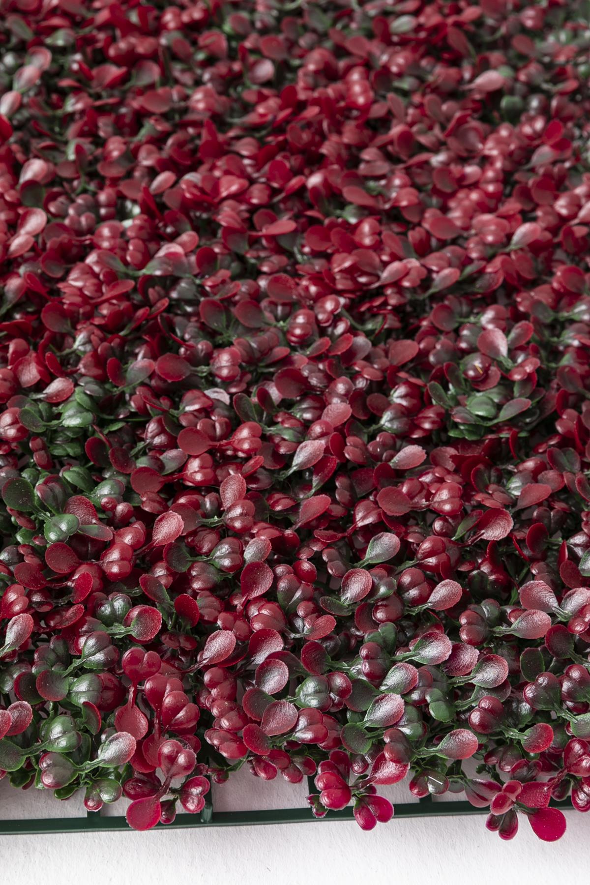 Yapay Duvar Paneli Uv Korumalı Kırmızı Şimşir 50*50