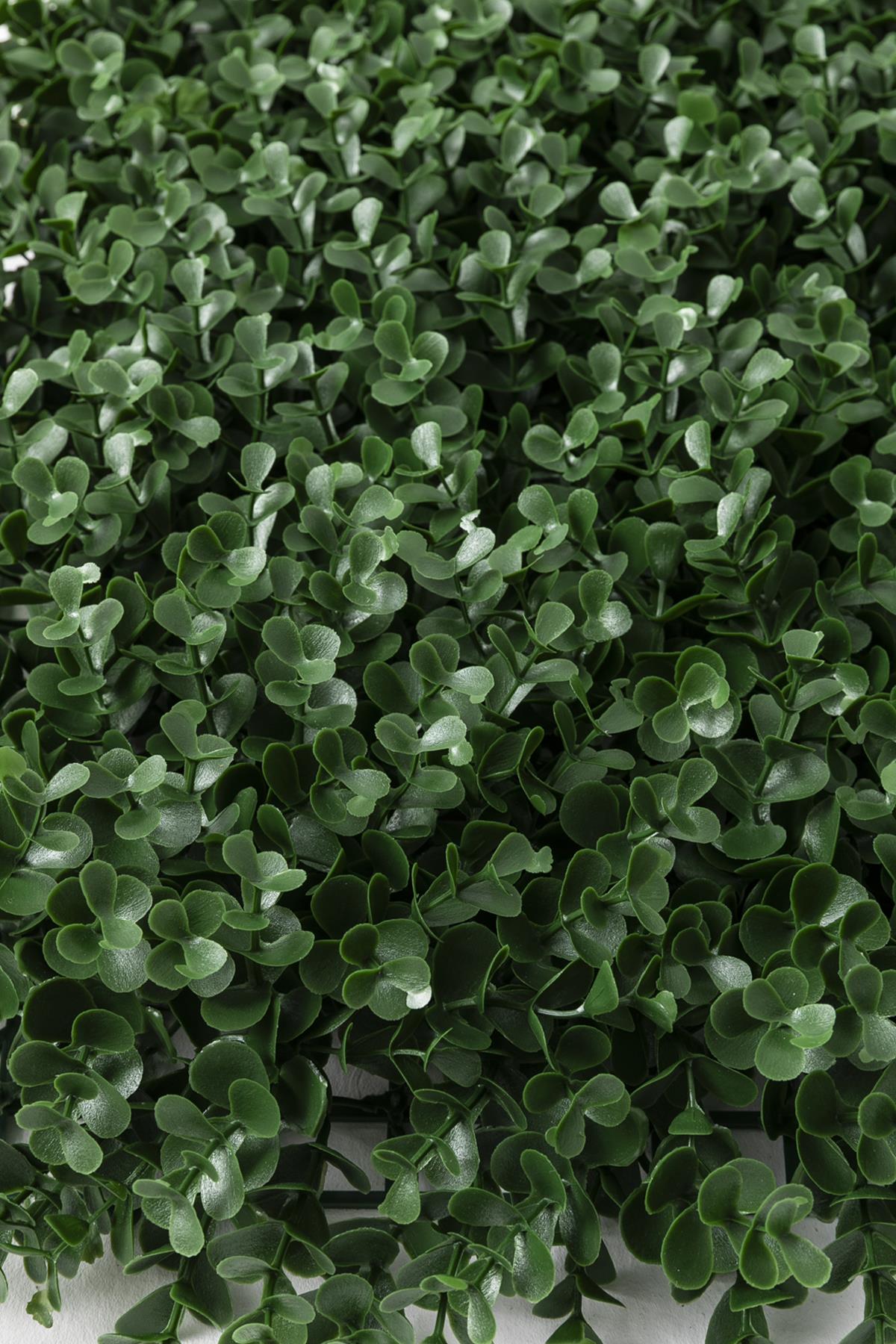 Yapay Duvar Paneli (Uv) Korumalı Okaliptus Yeşil 50*50 (Uv)