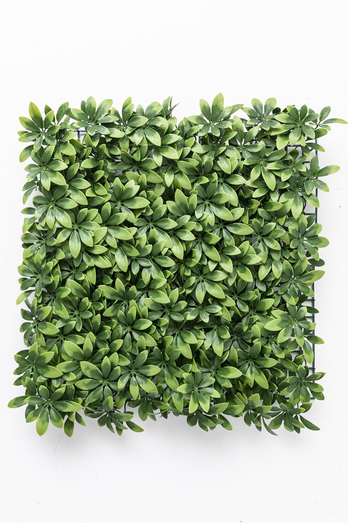 Yapay Duvar Paneli (Uv) Korumalı Şefrole 50*50 (Uv)