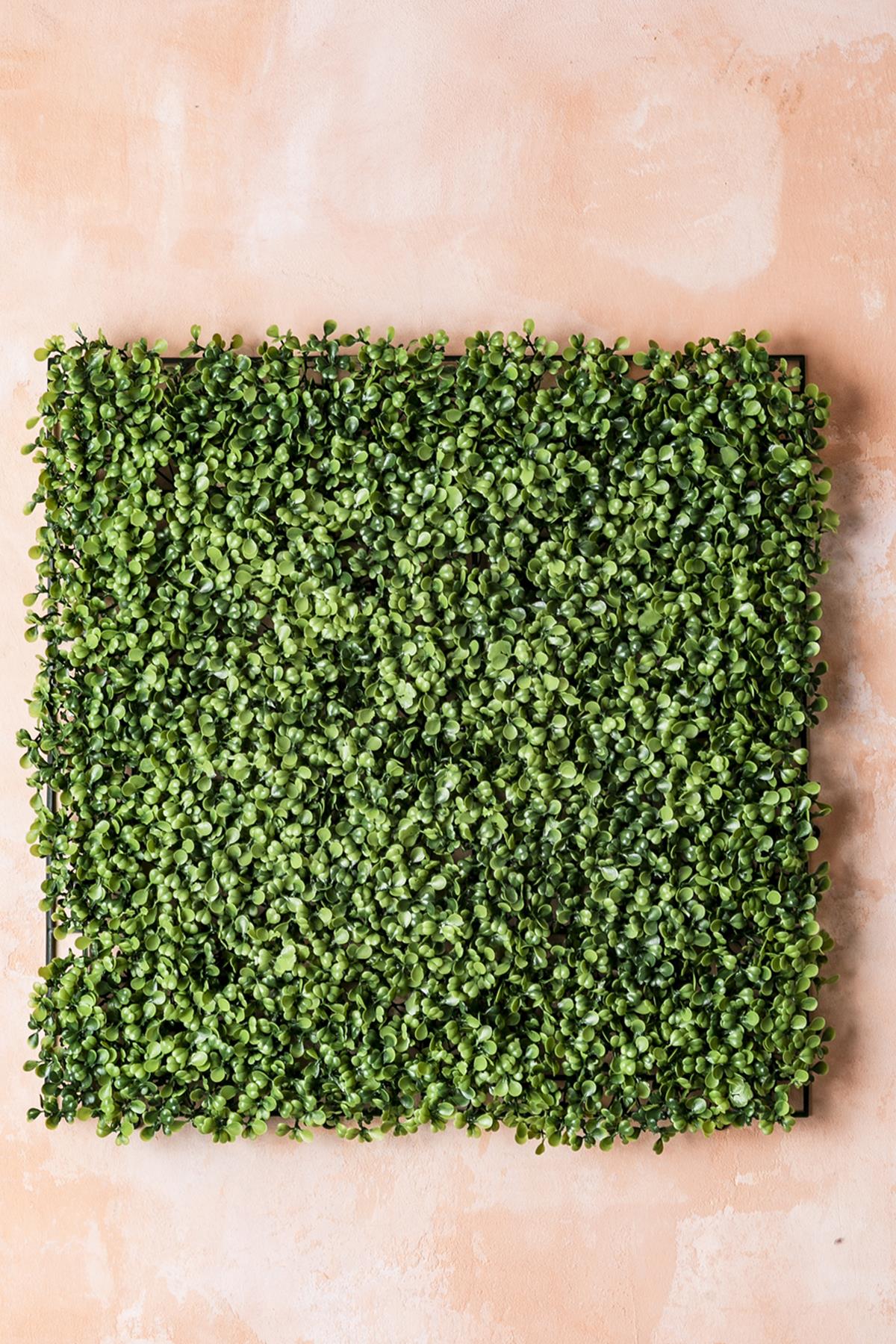 Yapay Duvar Paneli Uv Korumalı Şimşir Açık Yeşil 50*50