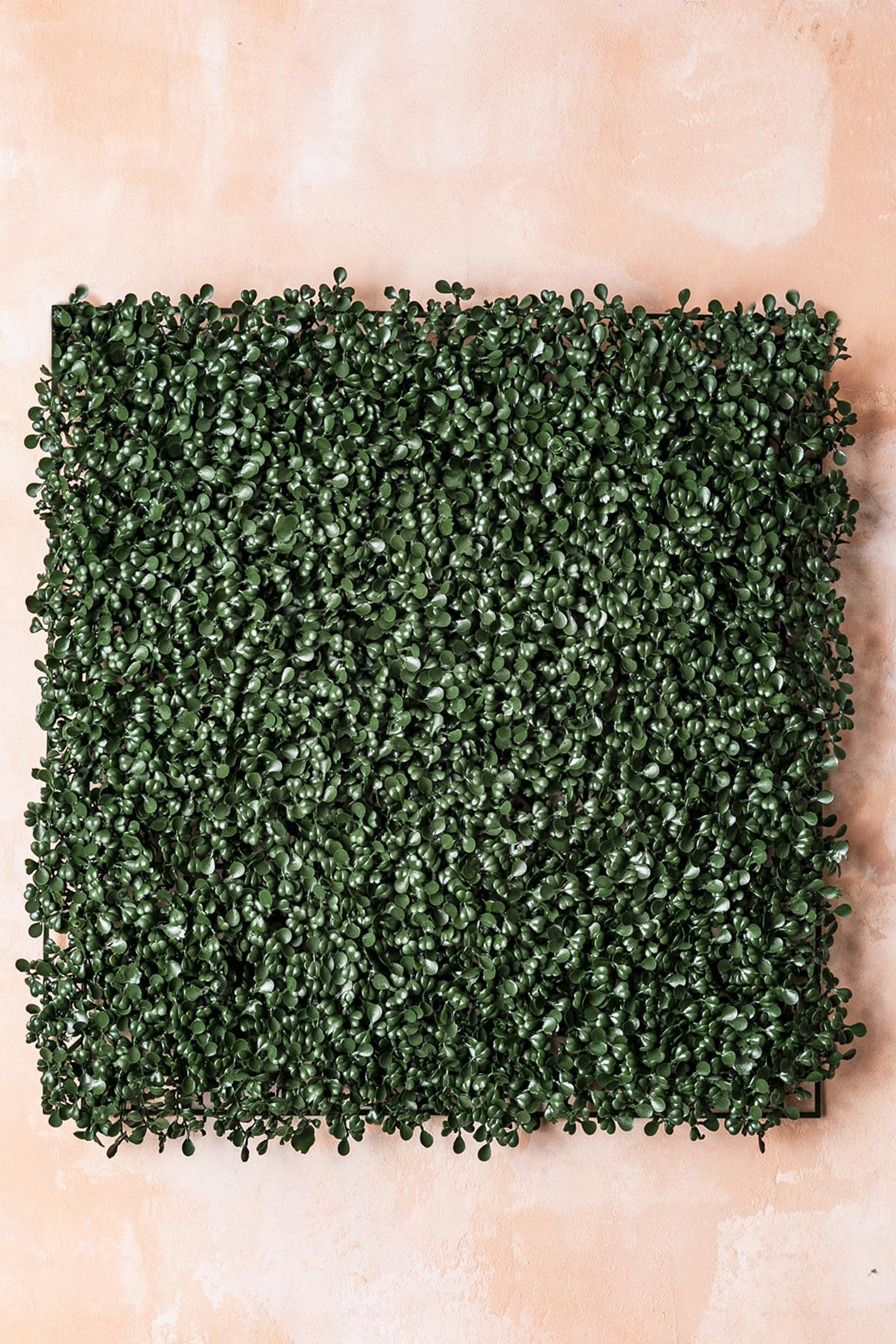 Yapay Duvar Paneli (Uv) Korumalı Şimşir Koyu Yeşil 50*50 (Uv)