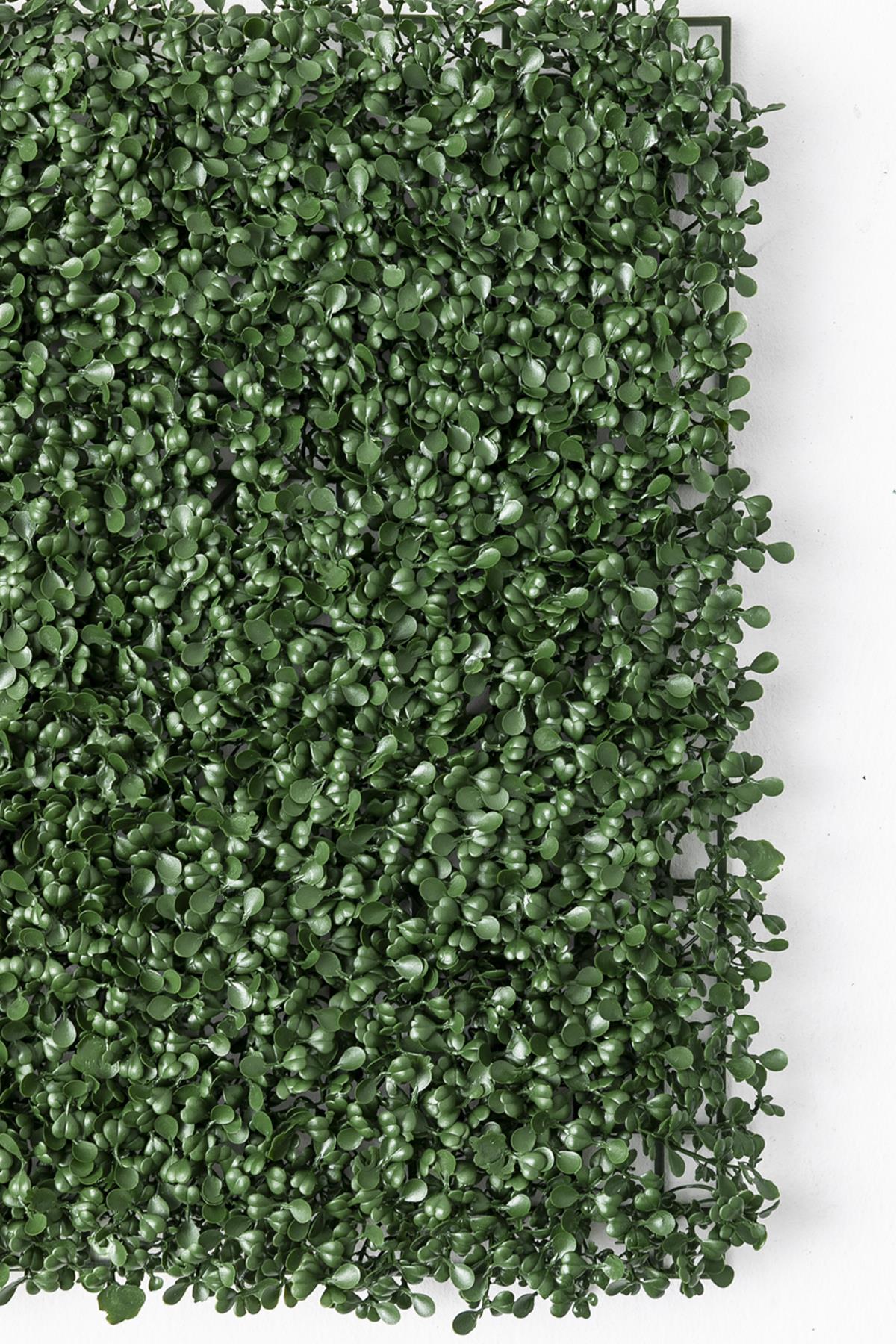 Yapay Duvar Paneli Uv Korumalı Şimşir Koyu Yeşil 50*50