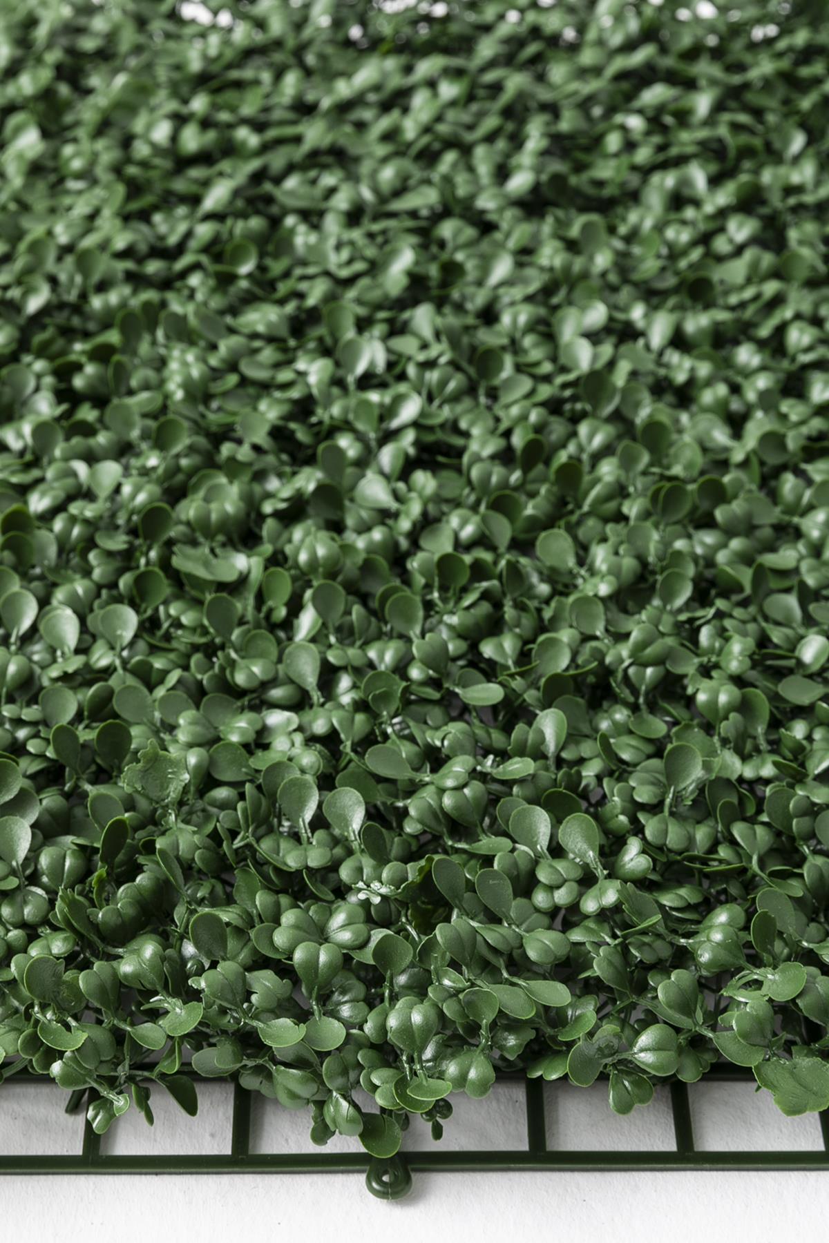 Yapay Duvar Paneli (Uv) Korumalı Şimşir Koyu Yeşil 50*50 (Uv)