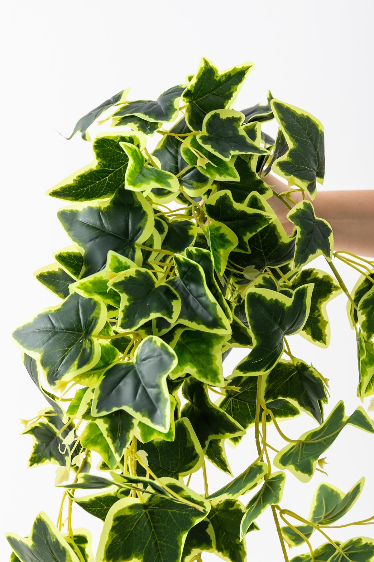 Yapay Hedera Sarmaşık 100 Cm 9 Dal