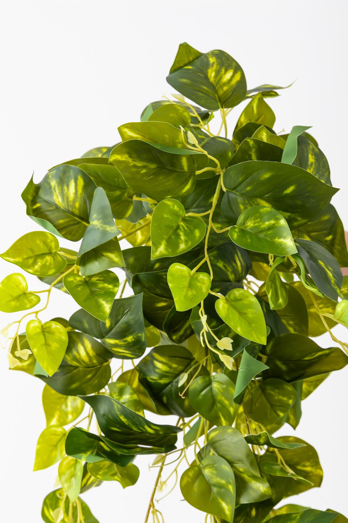 Yapay Hedera Sarmaşık 100 Cm 9 Dal Alacalı Yeşil