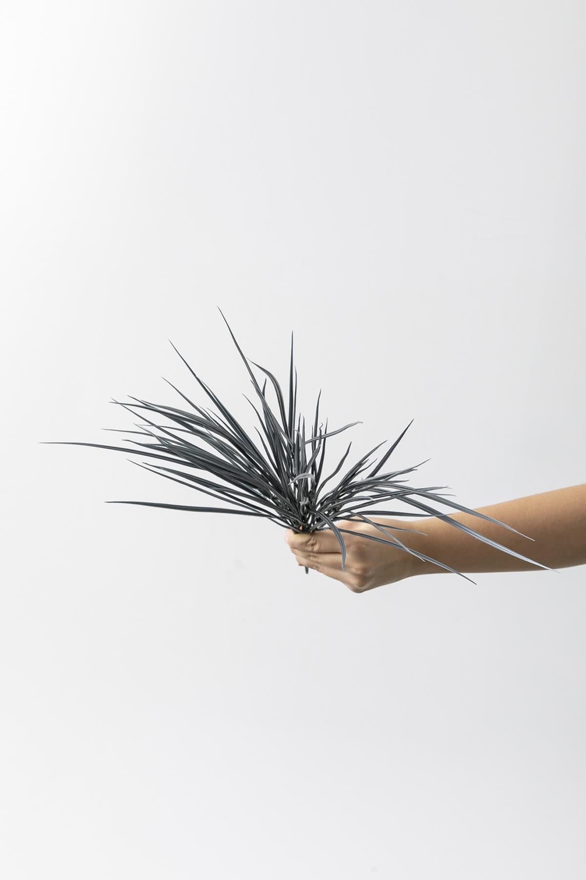 Yapay İnce Saz Demeti Gri 50 Cm 7 Dal(Uv)