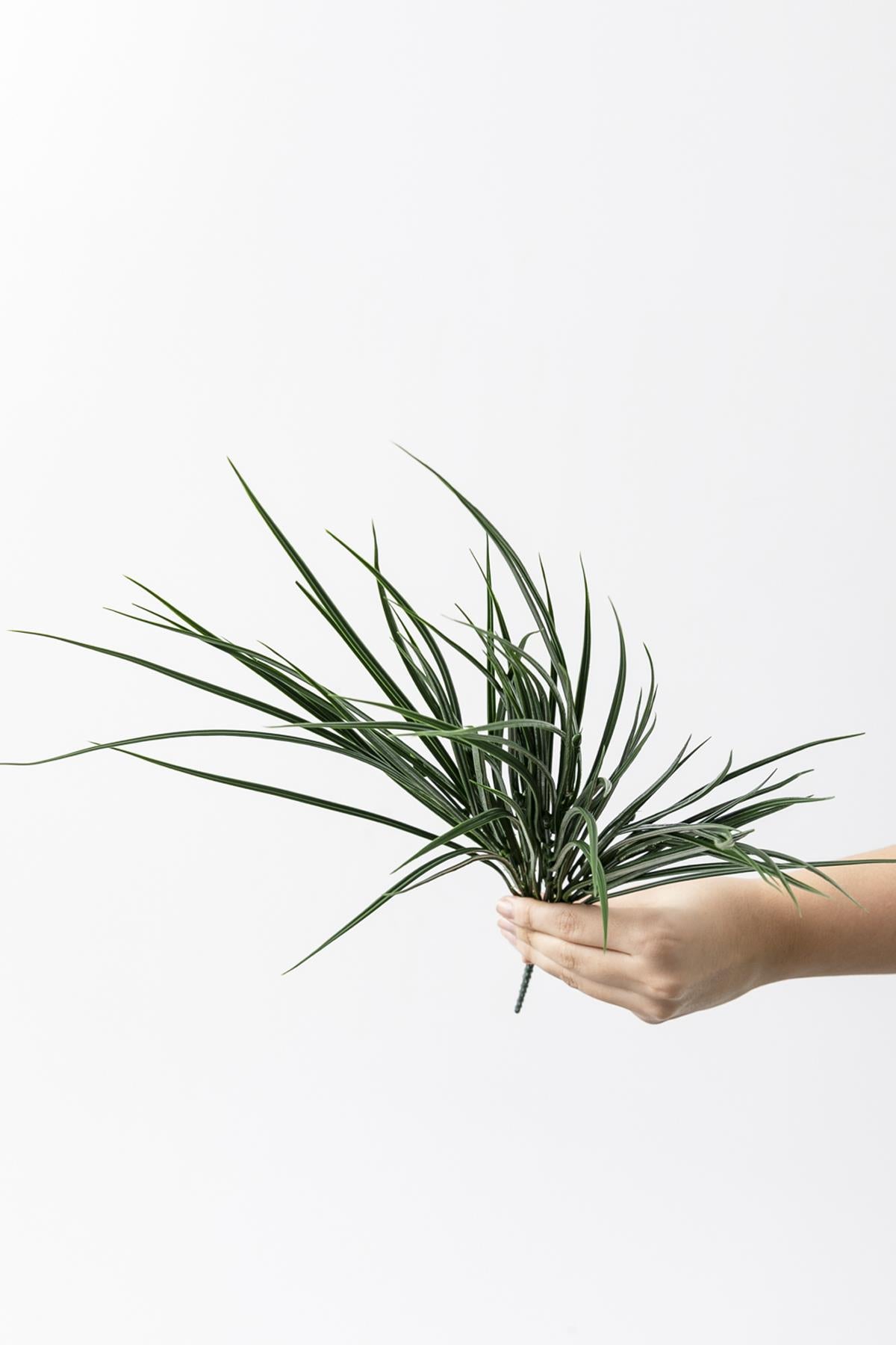 Yapay İnce Saz Demeti Koyu Yeşil 50 Cm 7 Dal(Uv)