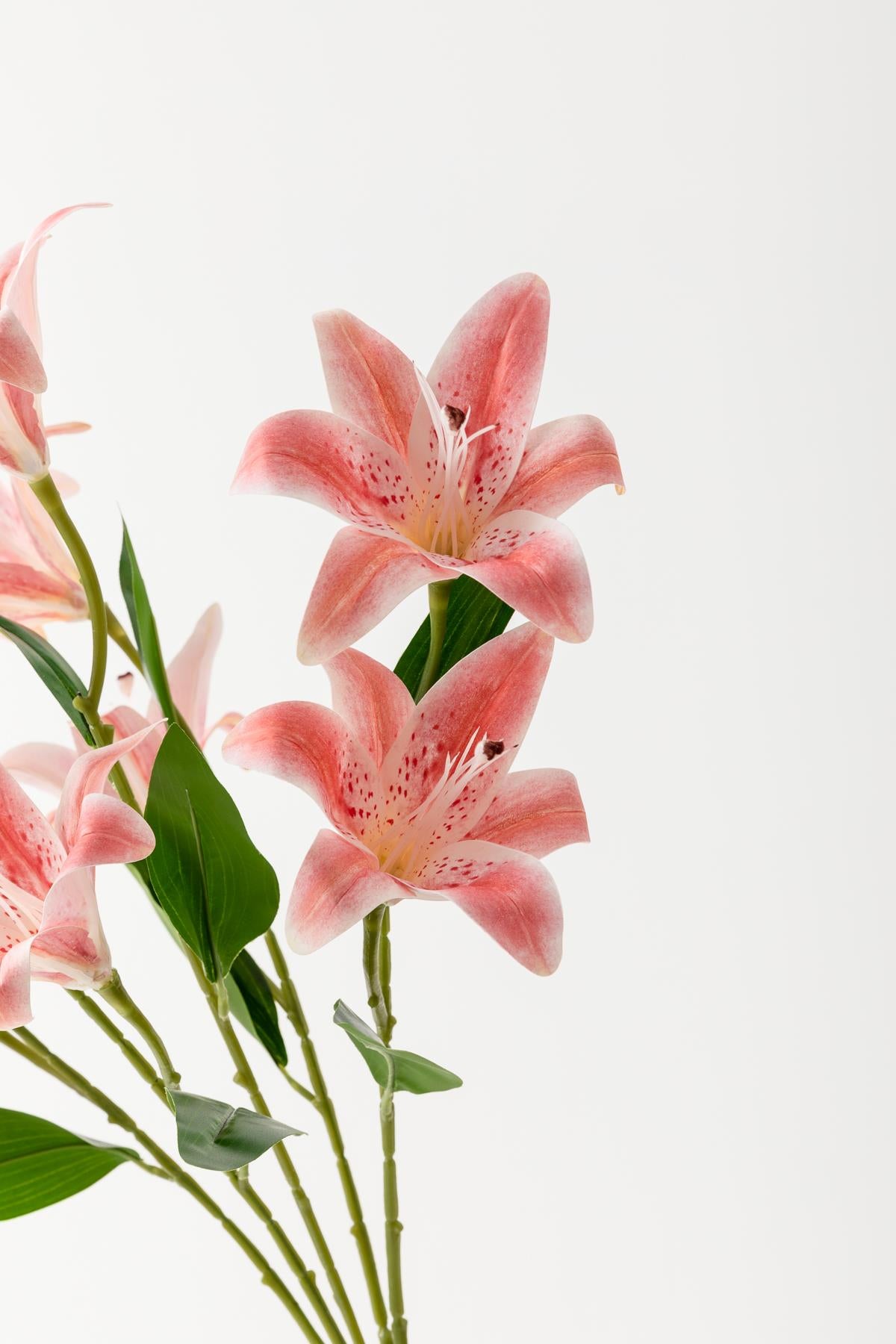 Yapay Islak Kazabılanka Çiçeği Pembe 9 Dal