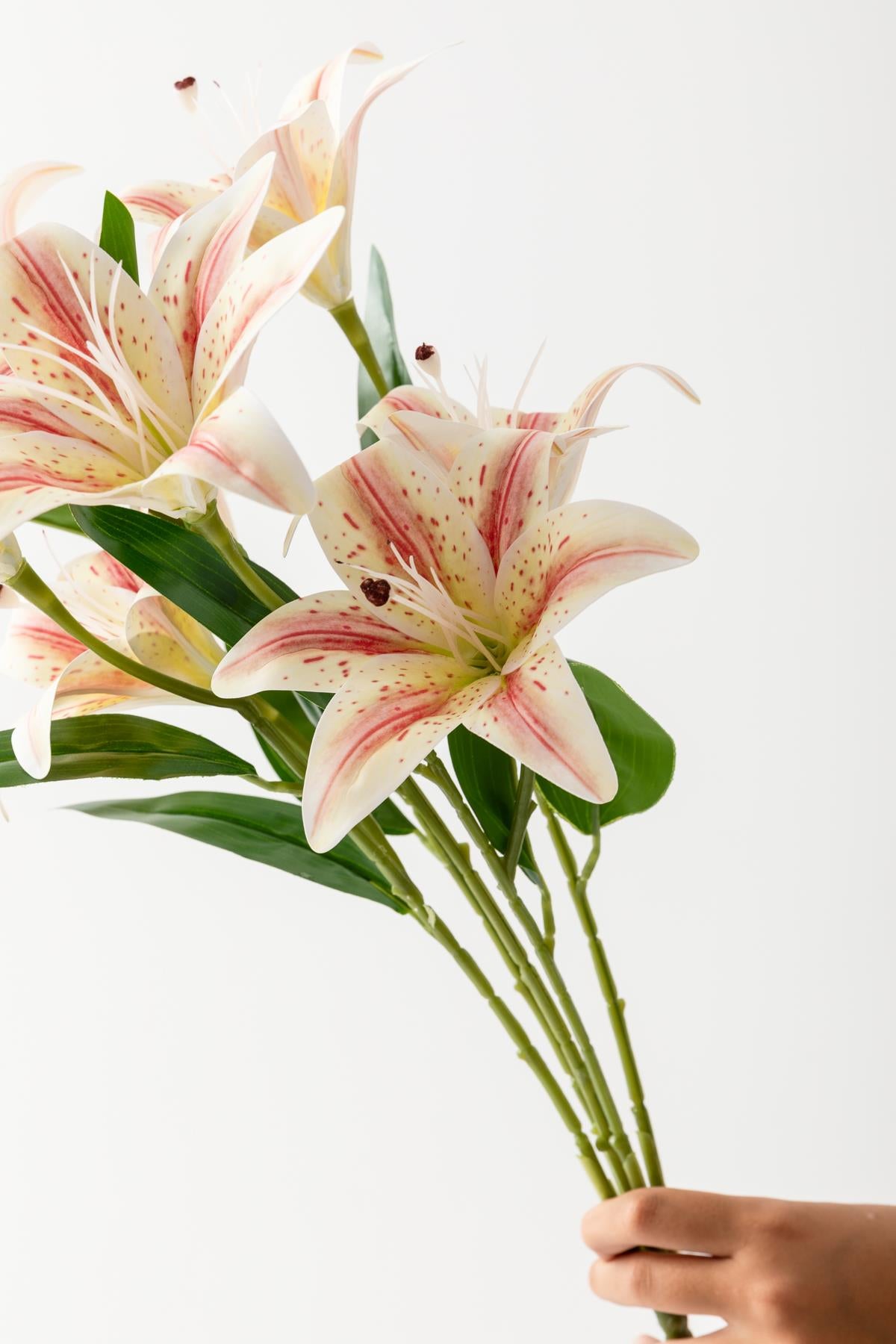 Yapay Islak Kazabılanka Çiçeği Pembe-Beyaz 9 Dal