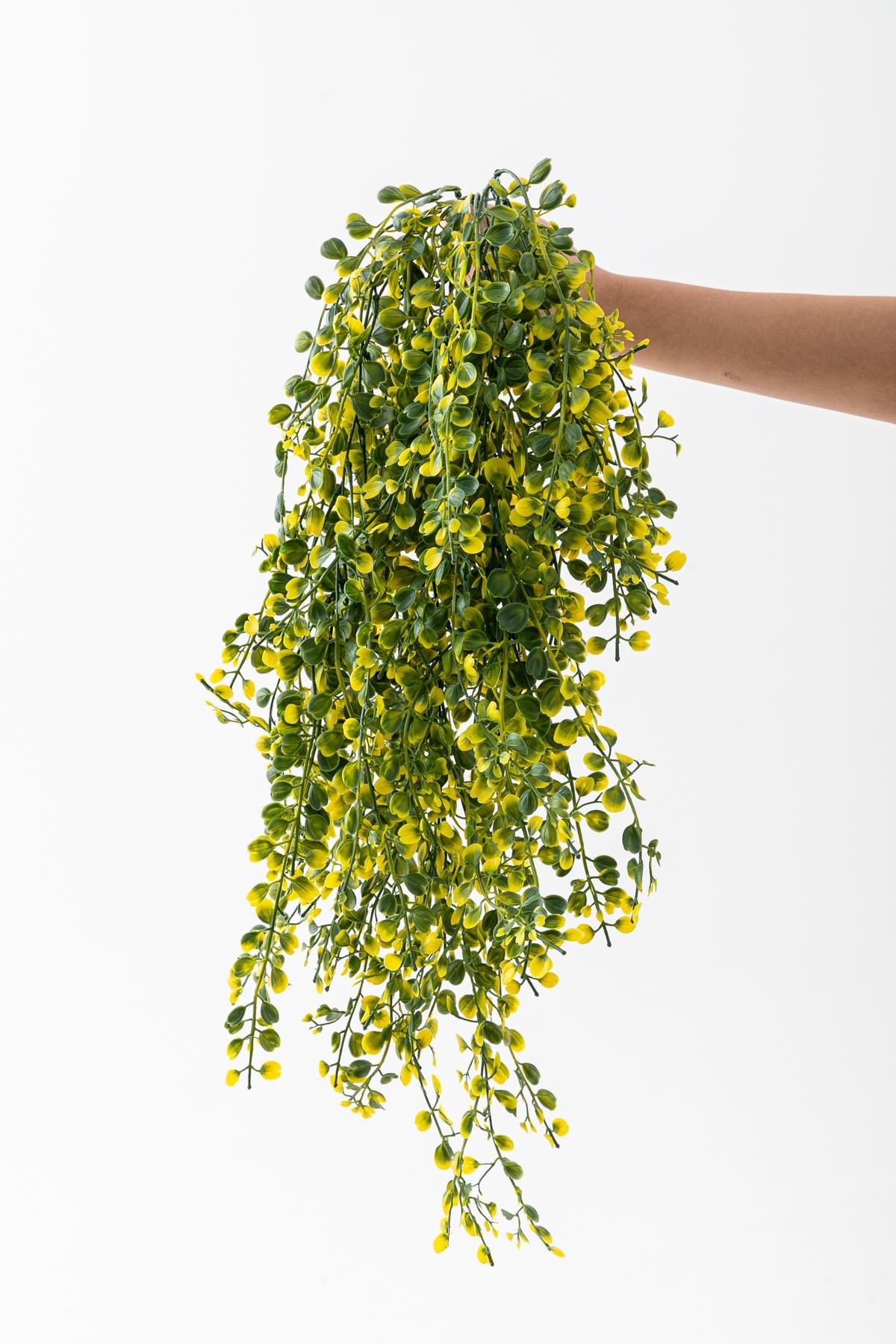 Yapay Japon Şimşir Sarkan 80 Cm 5 Dal Yeşil Sarı