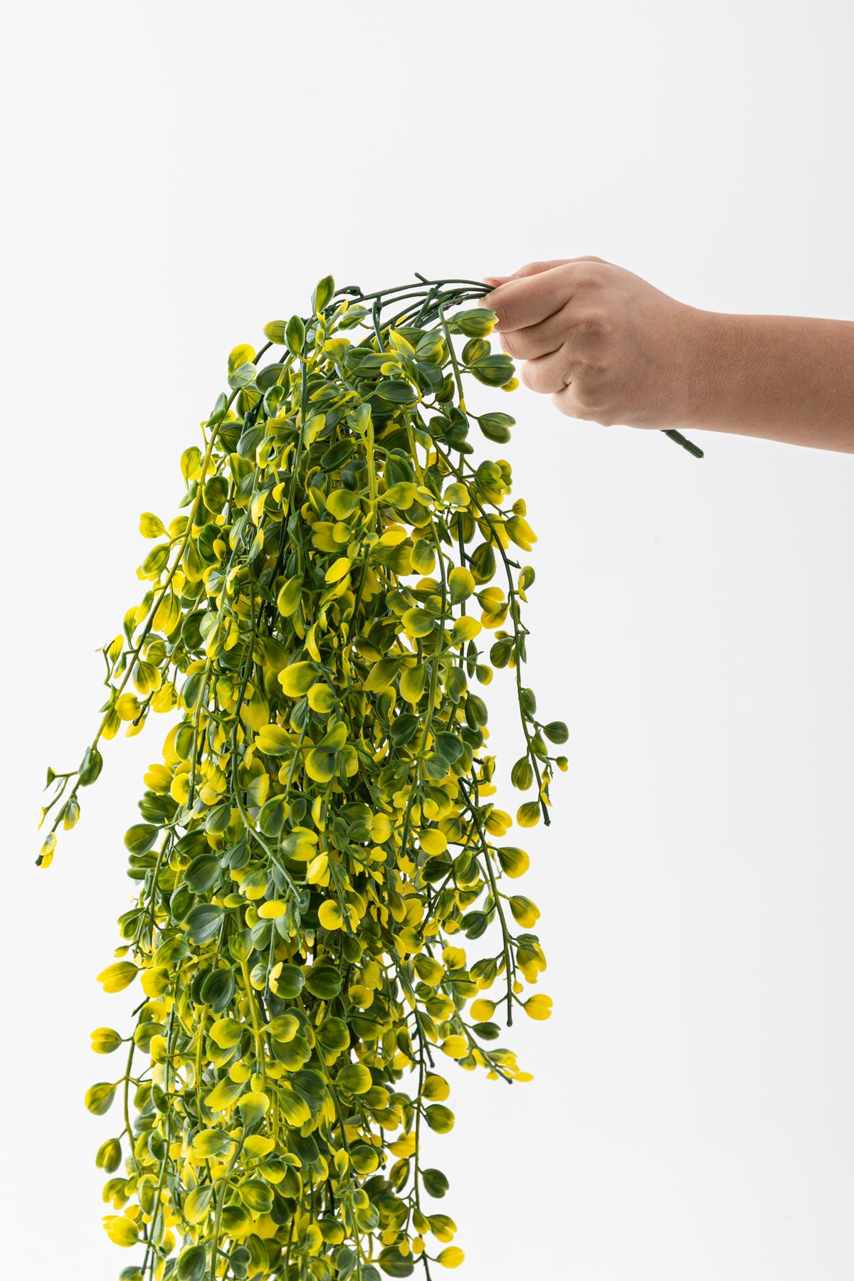 Yapay Japon Şimşir Sarkan 80 Cm 5 Dal Yeşil Sarı