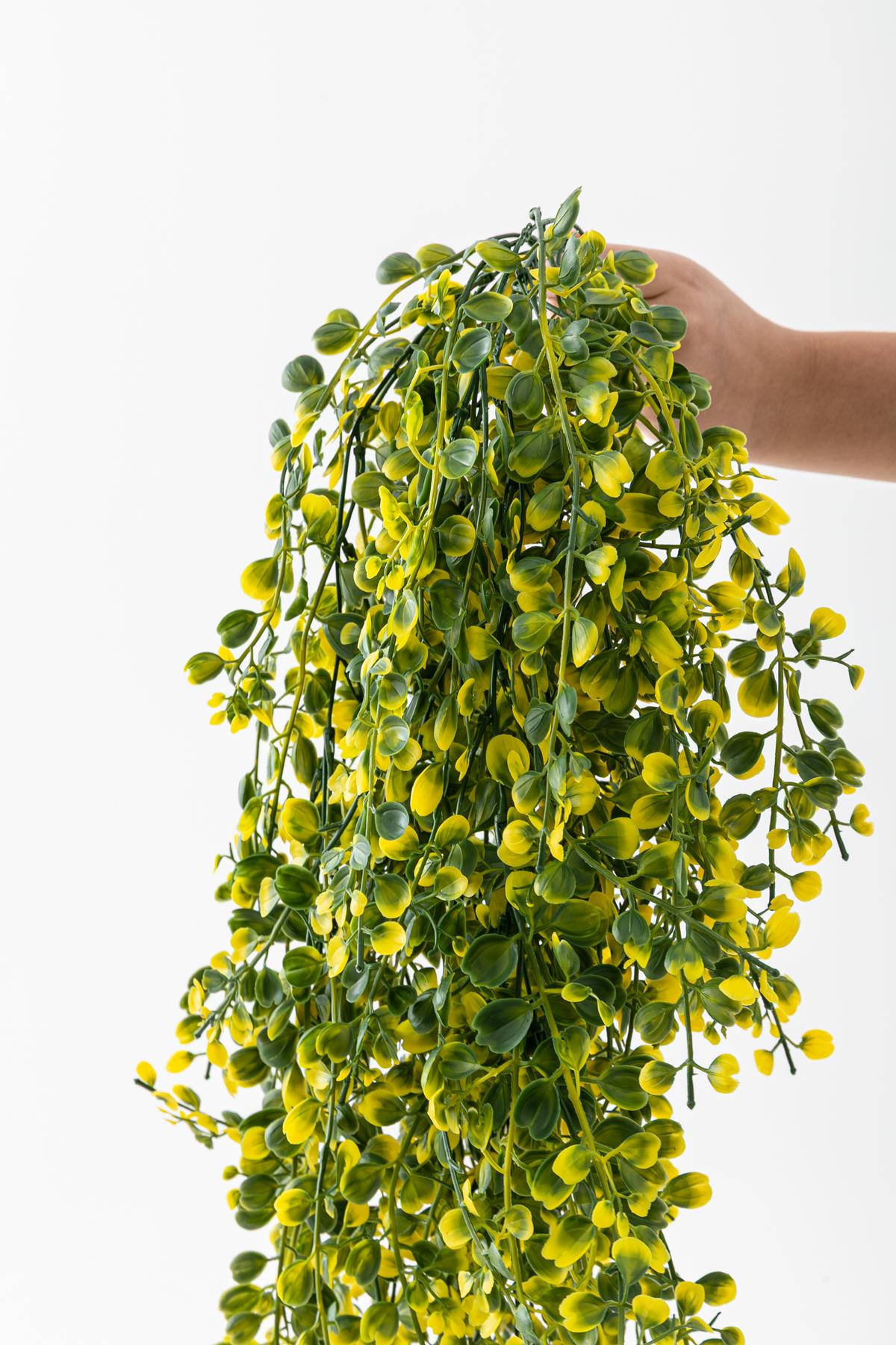 Yapay Japon Şimşir Sarkan 80 Cm 5 Dal Yeşil Sarı