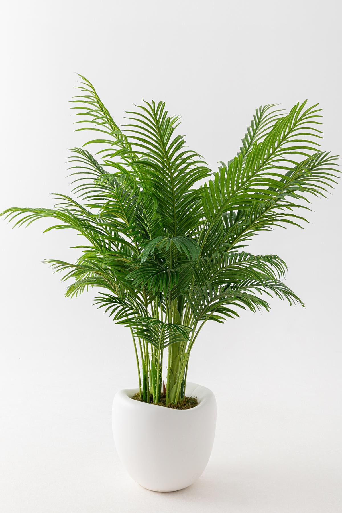 Yapay Jumbo Areka 220 Cm 32 Dal