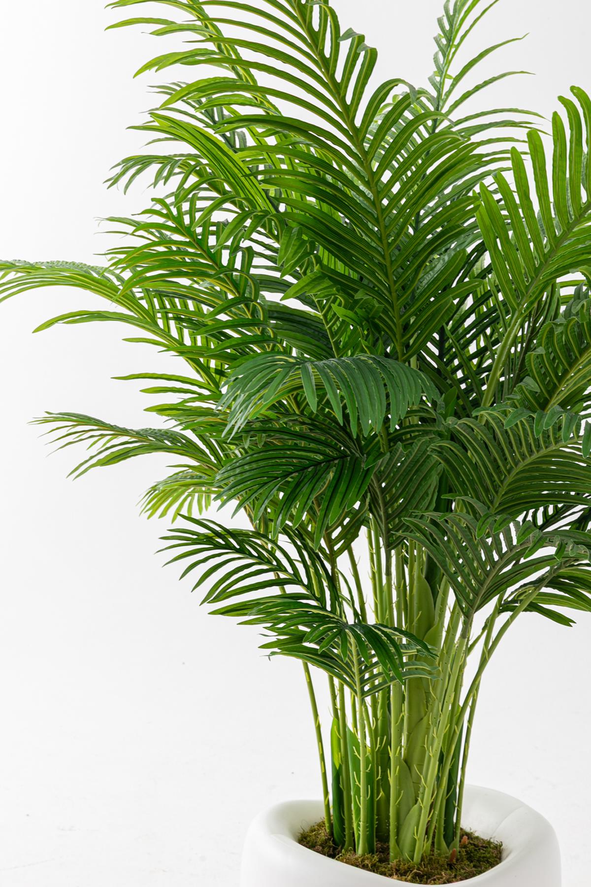 Yapay Jumbo Areka 220 Cm 32 Dal